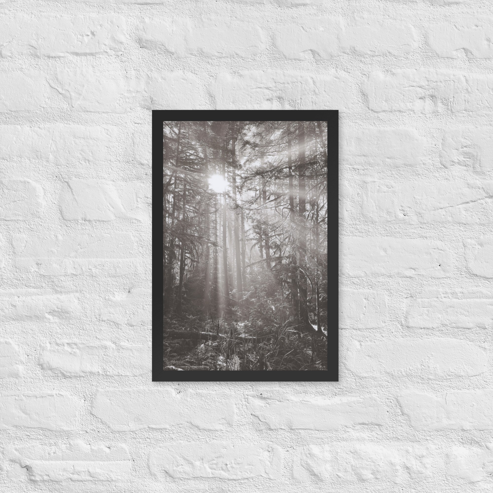 enhanced-matte-paper-framed-poster-(in)-black-12x18-front-67eedf3d425b7.jpg