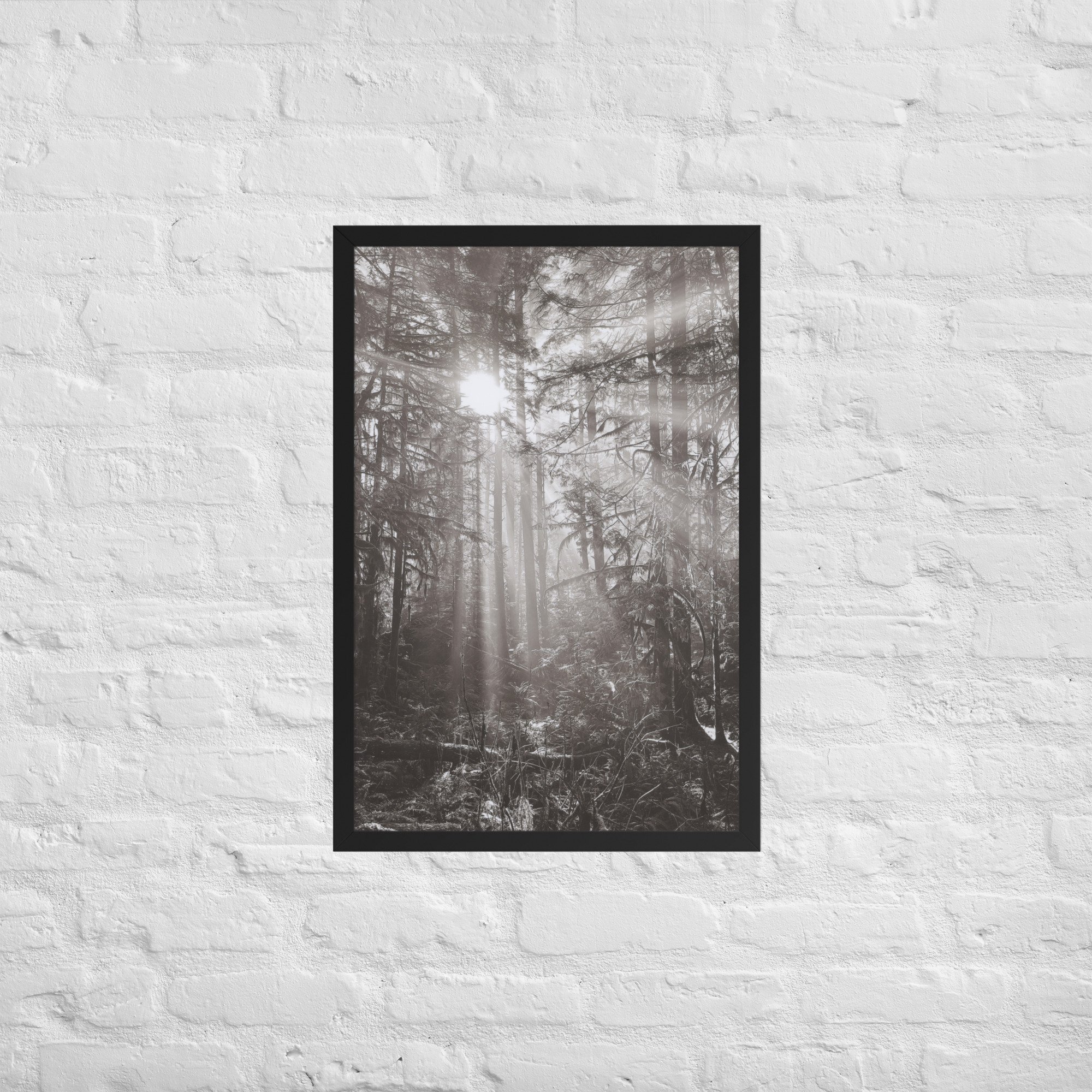 enhanced-matte-paper-framed-poster-(in)-black-20x30-front-67eedf3d4265c.jpg