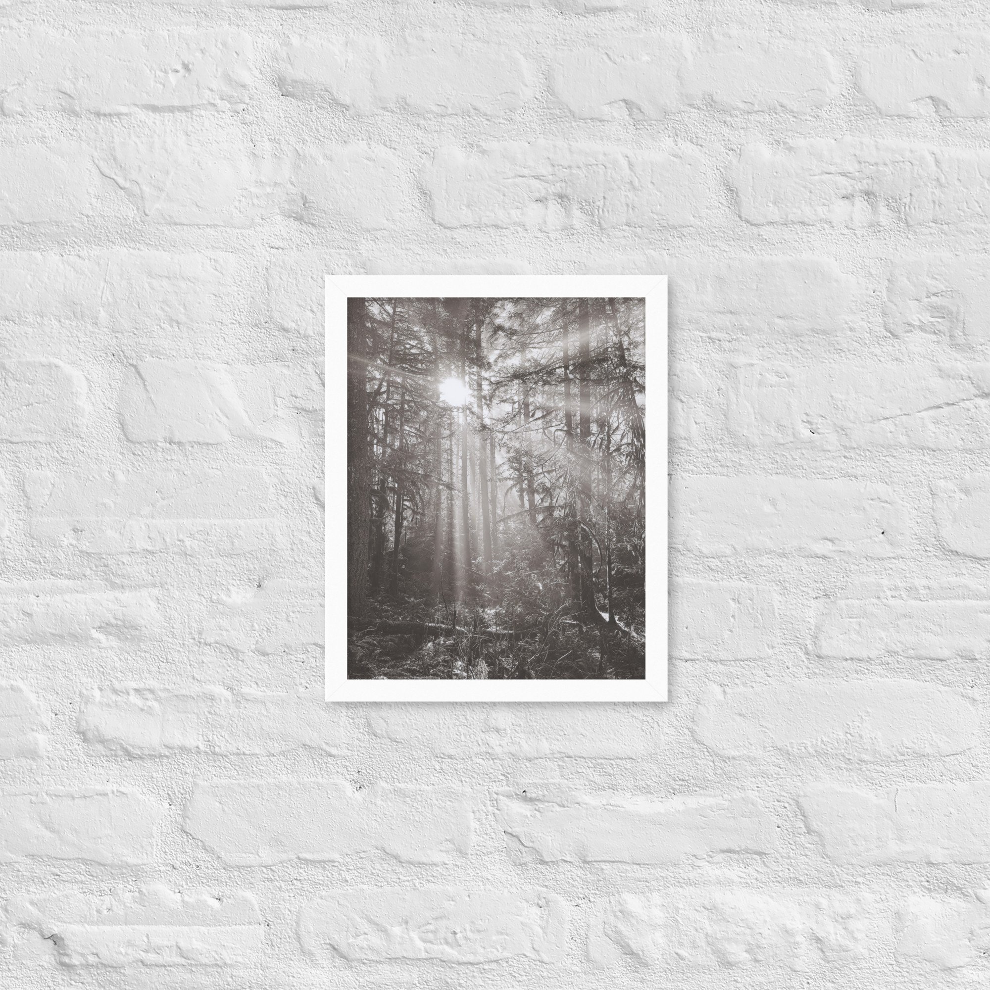 enhanced-matte-paper-framed-poster-(in)-white-11x14-front-67eedf3d42778.jpg