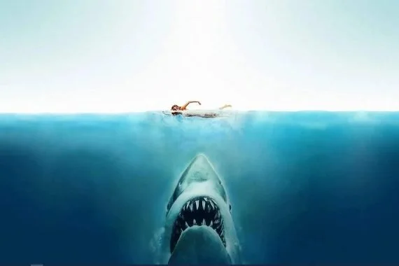 Strand Summer Series: Movie Nights - Jaws