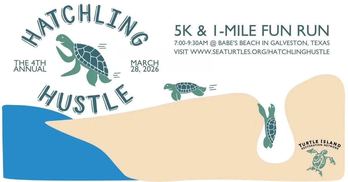 4th Annual Hatchling Turtle Hustle 5K and Fun Run