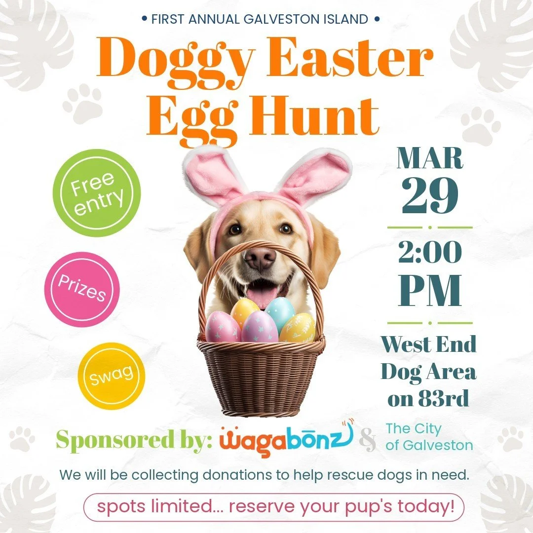 1st Annual Galveston Island Doggy Easter Egg Hunt