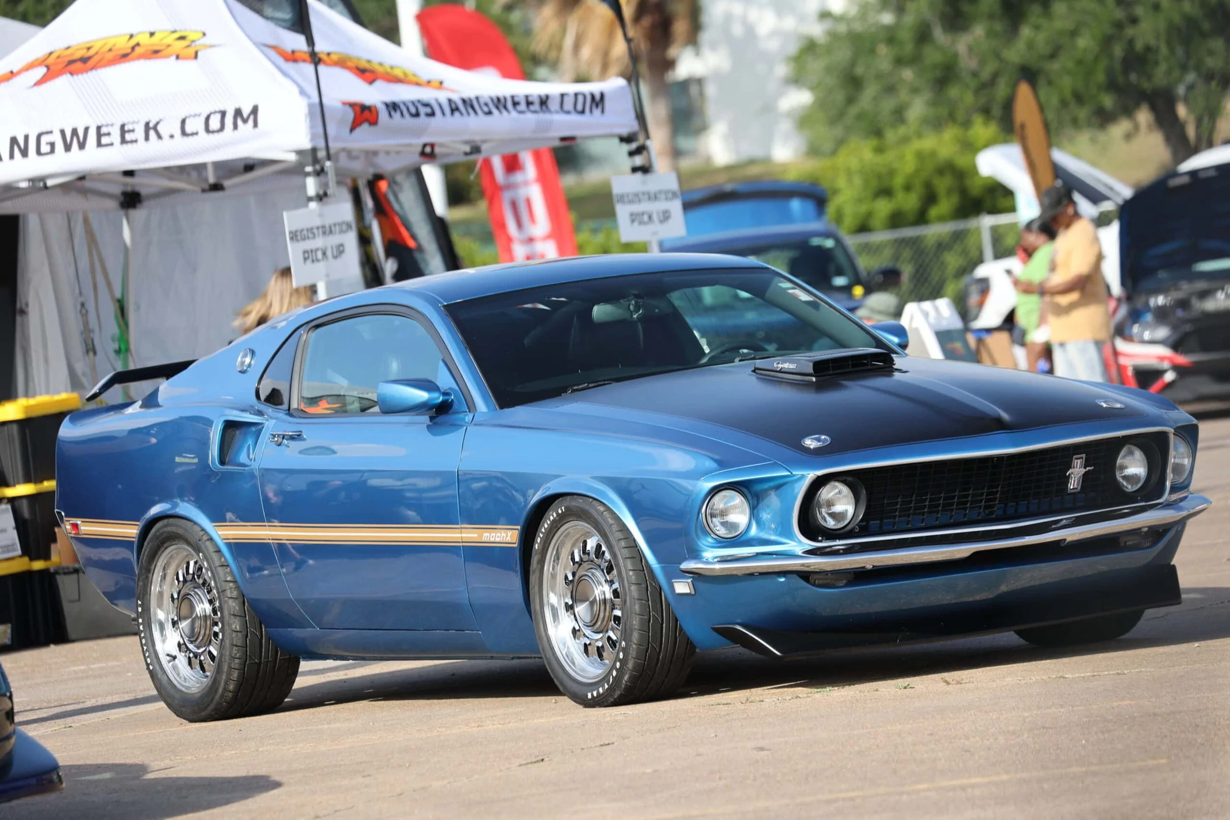 Texas Mustang Week at Moody Gardens