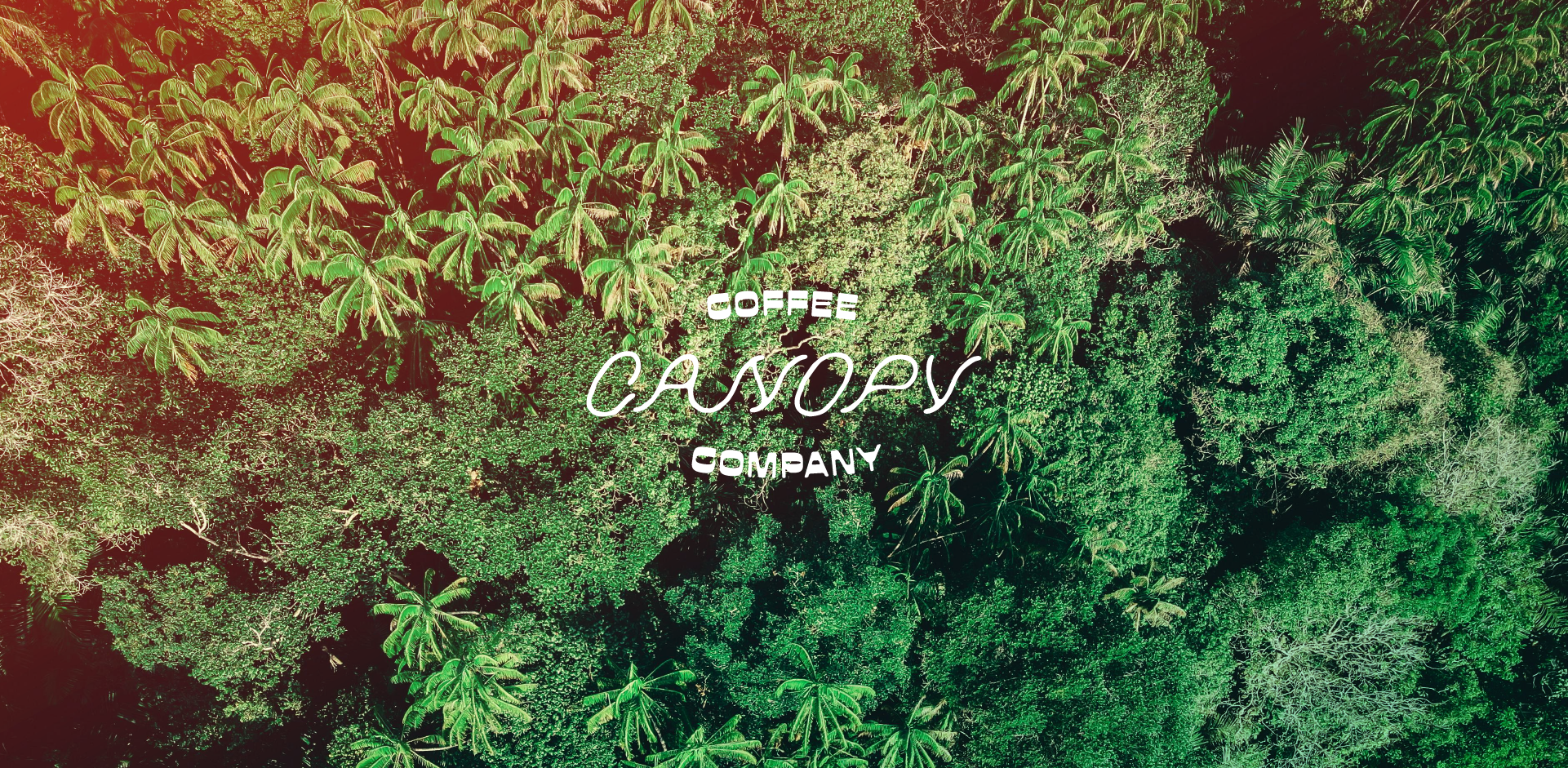 Canopy Coffee-05.png