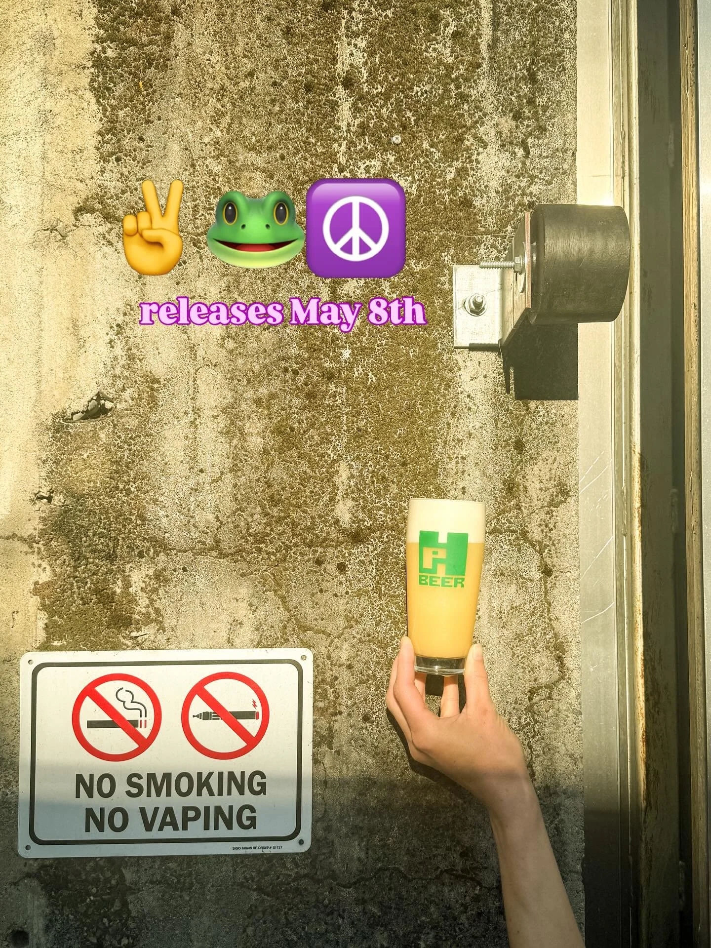 Peace Frog - ☮️🐸- a new hazy IPA releases Friday May 8th
