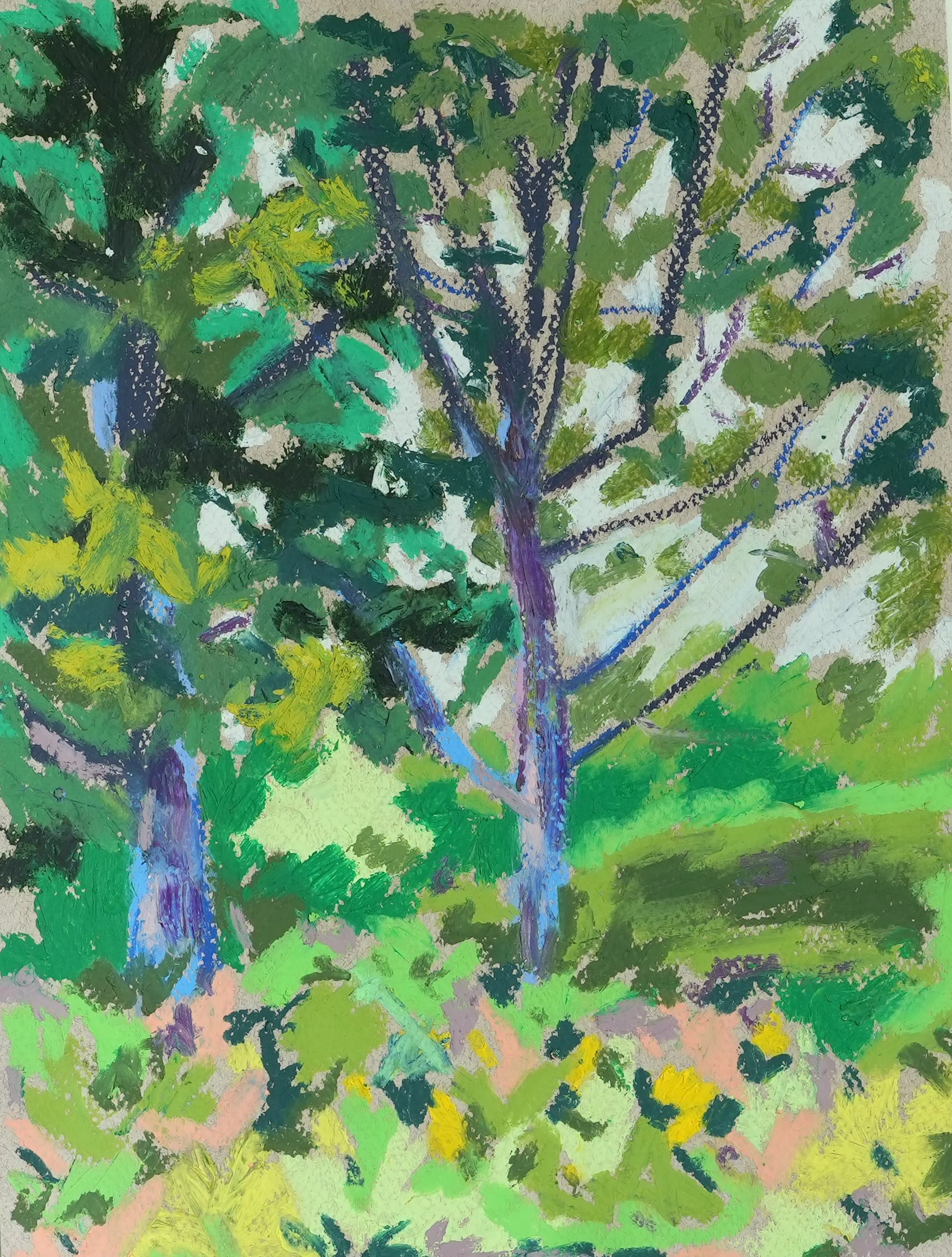 Sketch | Oil Pastel | 2022