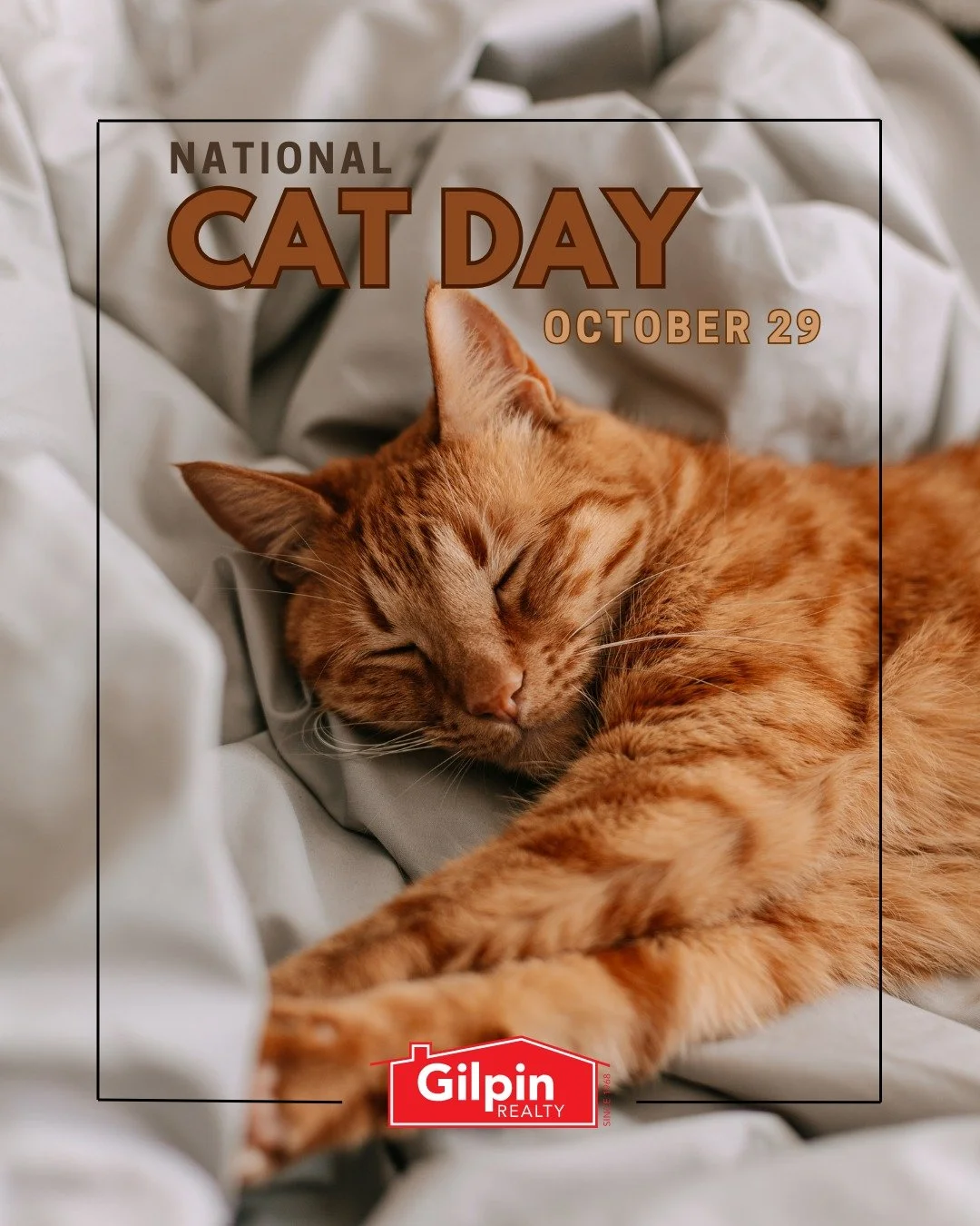 National Cat Day!
.
.
.
.
#GilpinRealty #Snohomish #RealEstate #HouseHunting #HomesForSale