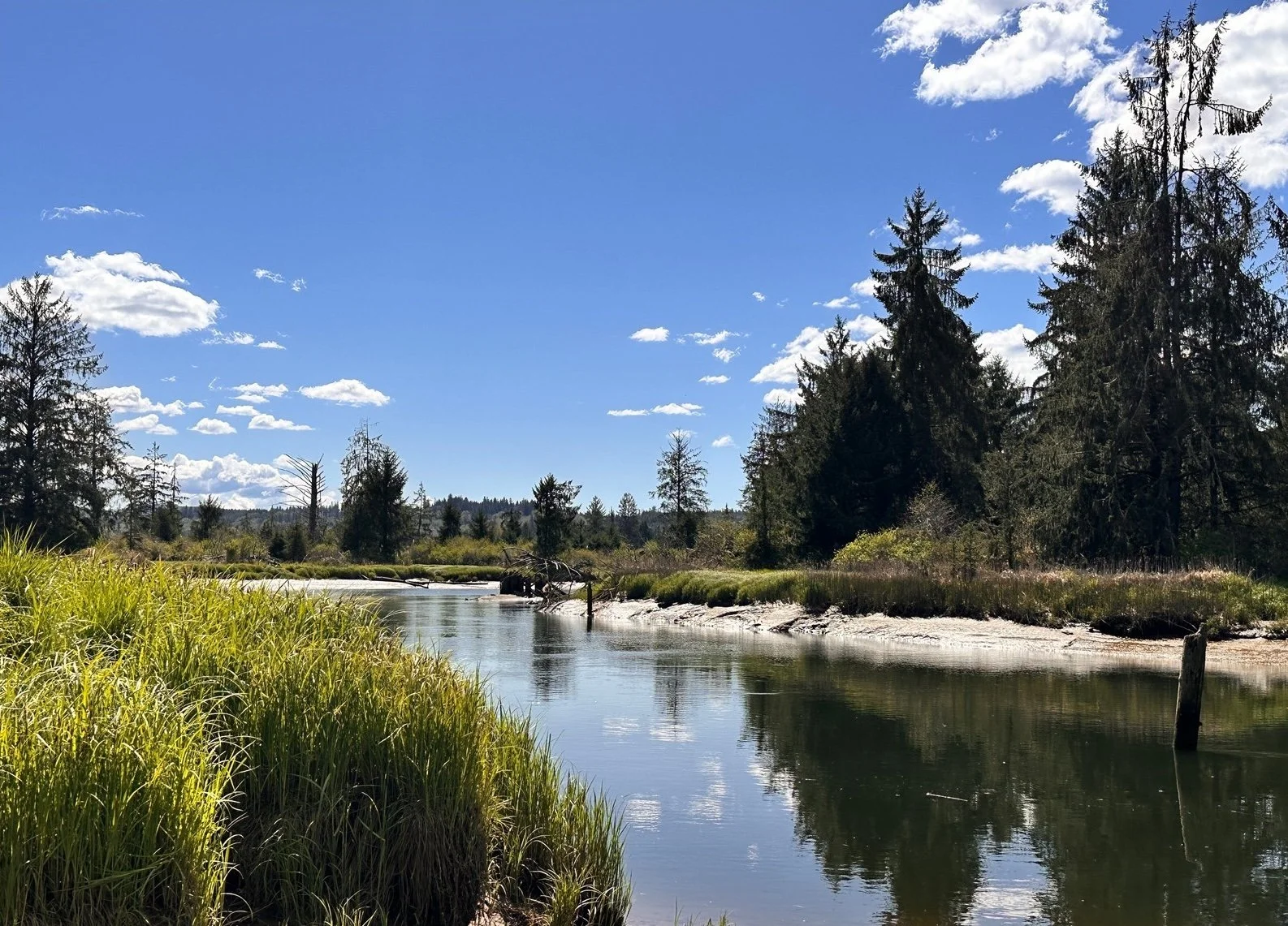 Represented Seller | Raymond | $74,500