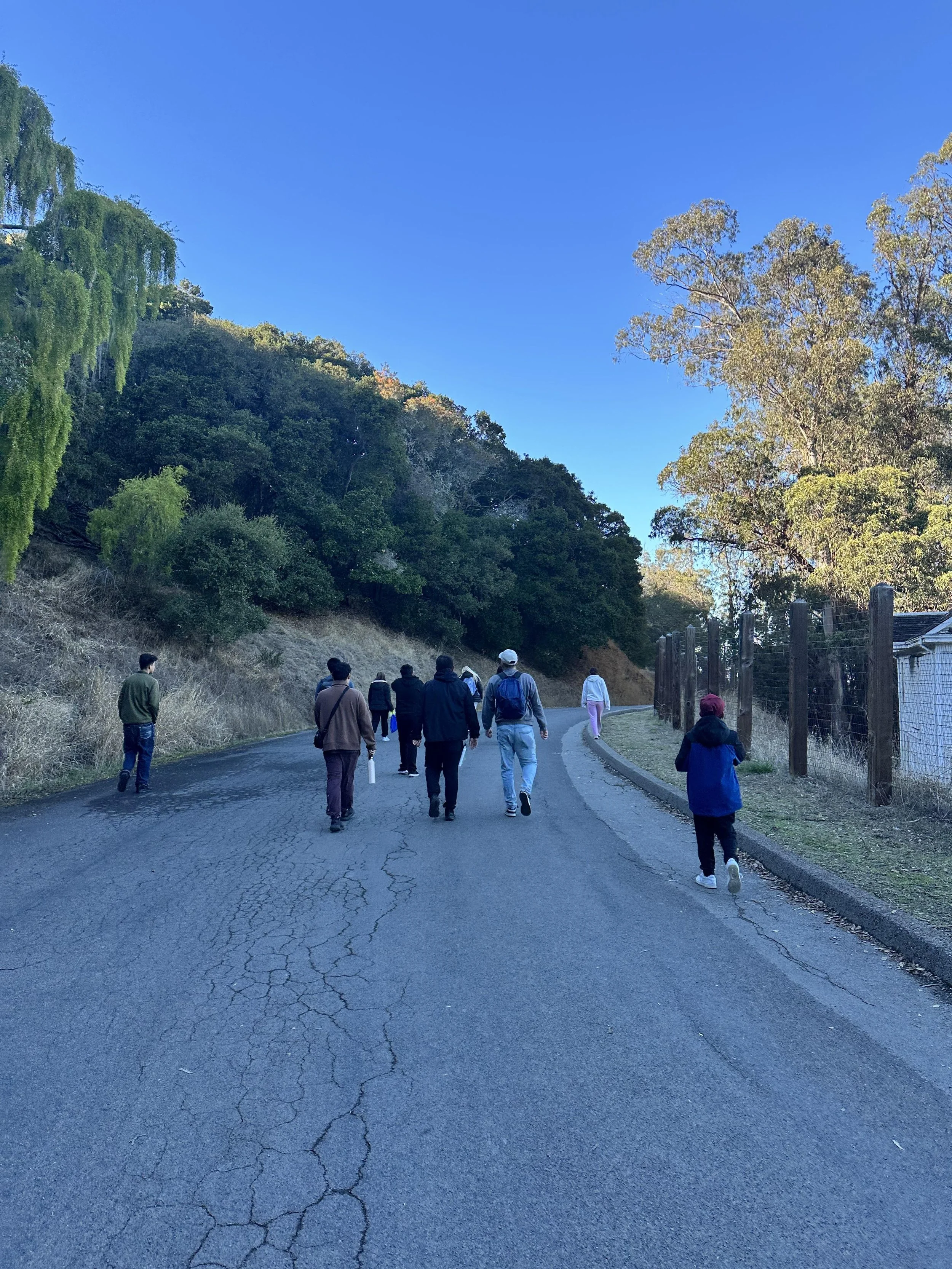 Copy of IMG_7209 (1) (wecompress.com).jpeg