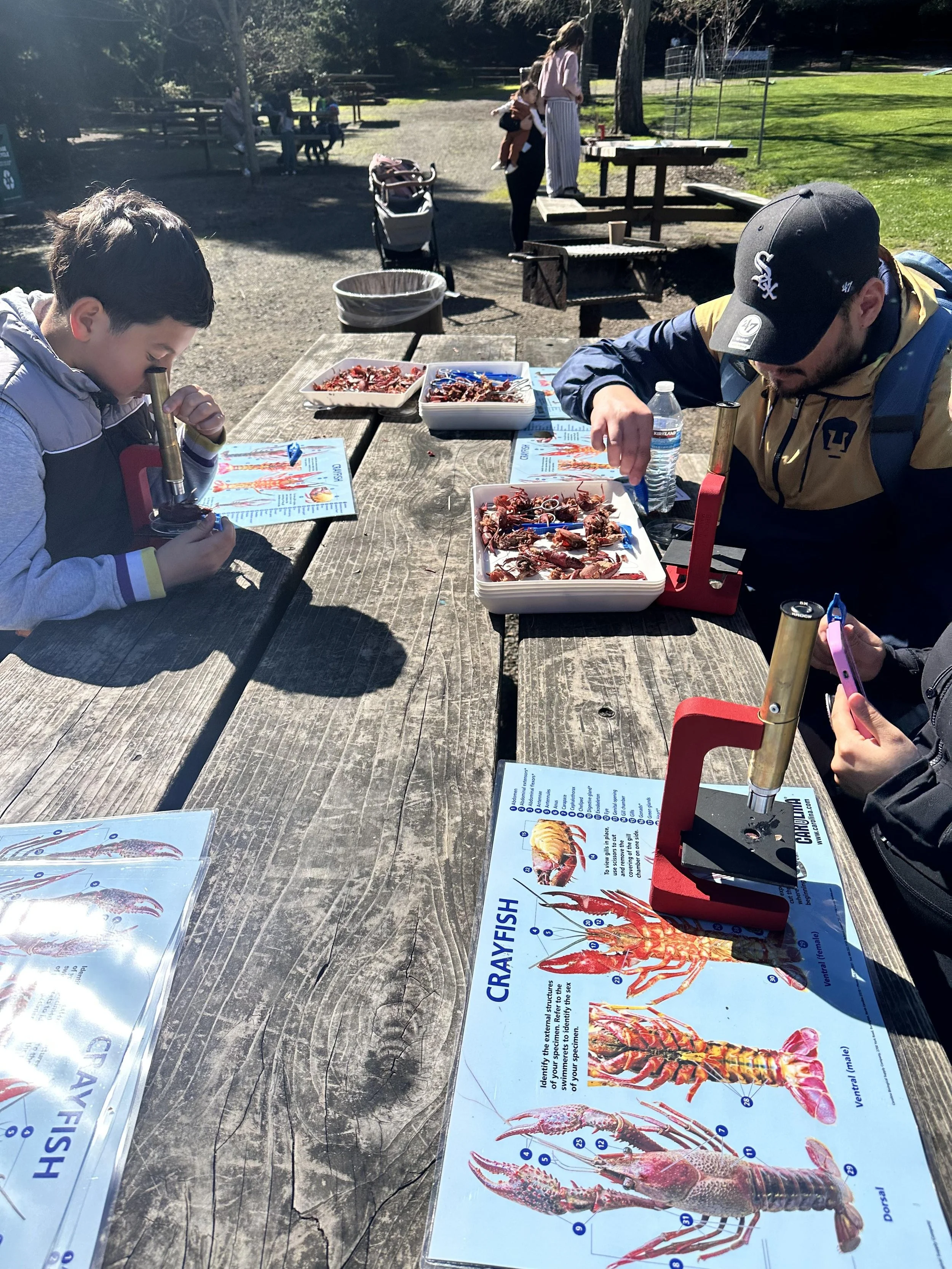 IMG_8721 (1) (wecompress.com).jpeg