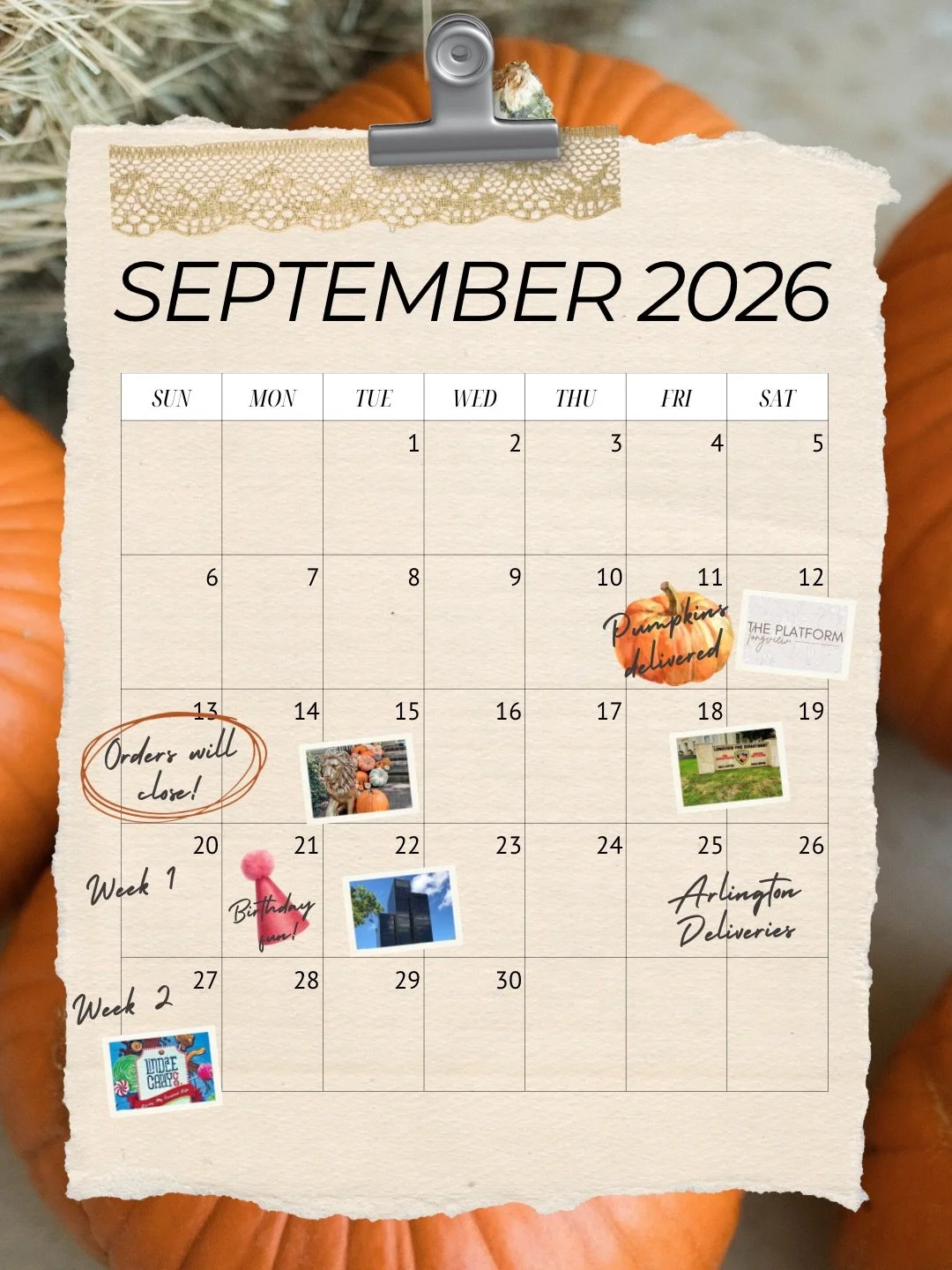 A little glimpse into our September 🎃 

We are gearing up for another season! We are so excited for so many new homes and businesses this year to decorate! 

The pumpkins have been ordered ✔️
The delivery schedule is started ✔️

Will you be on our l