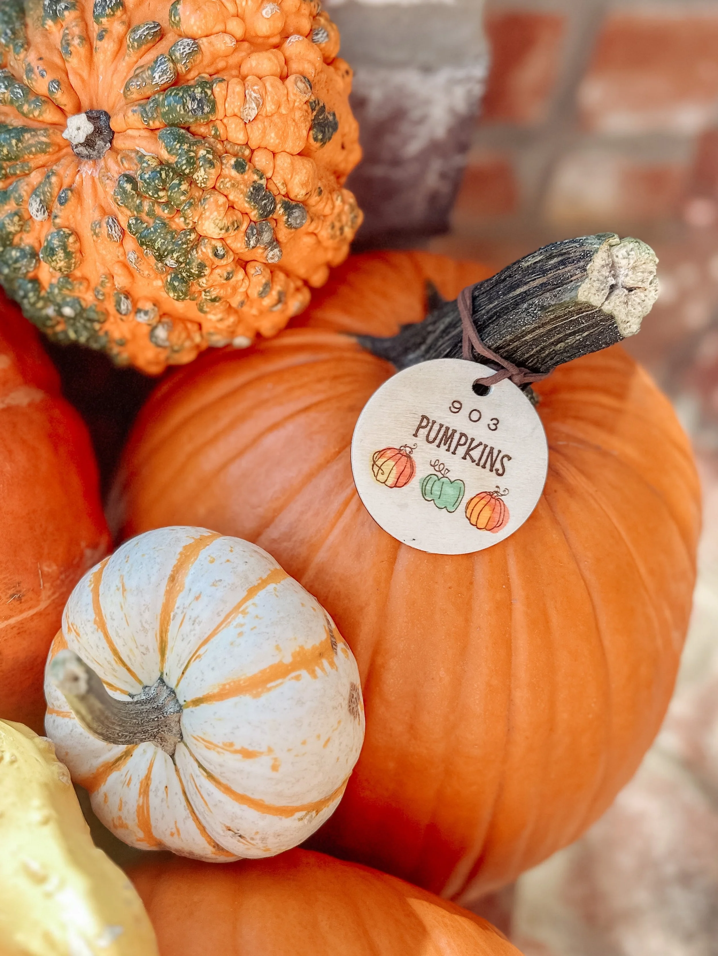 While you&rsquo;re sweating out this summer heat, dream of the perfect fall porch 🎃 

Let&rsquo;s secure your package today! 

Takes you about 1 minute to order and then 0 minutes for your perfect porch to be setup!  We will do it all for you!