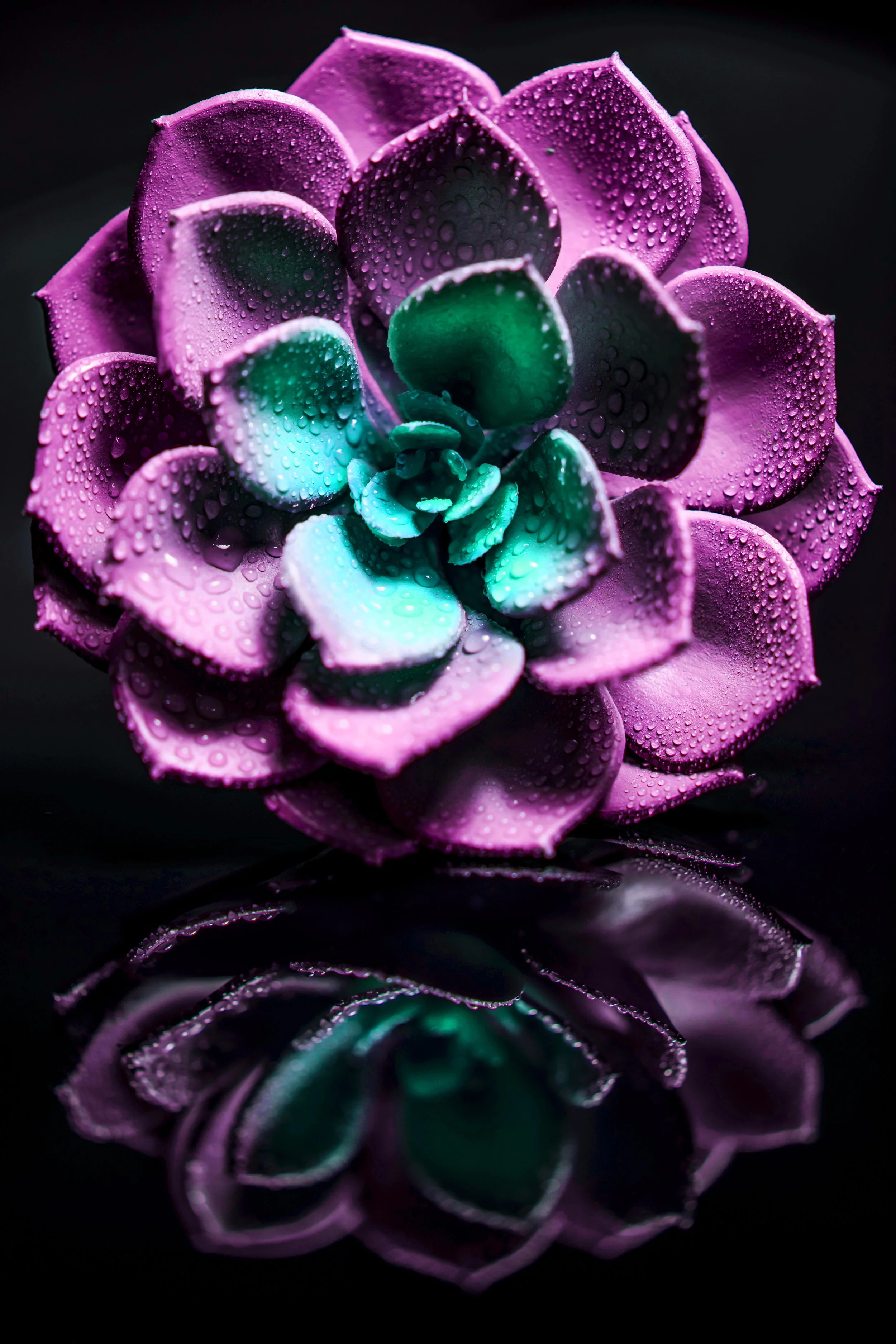 LeiLani_ink_ (108).jpg