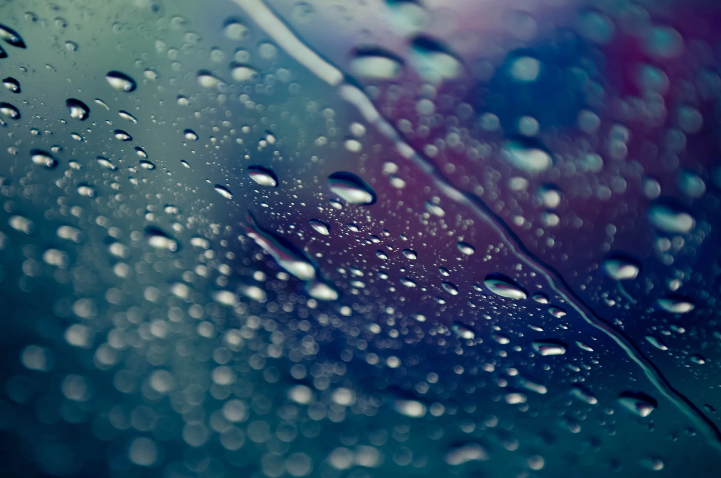 LeiLani-Ink Photography-8678.jpg