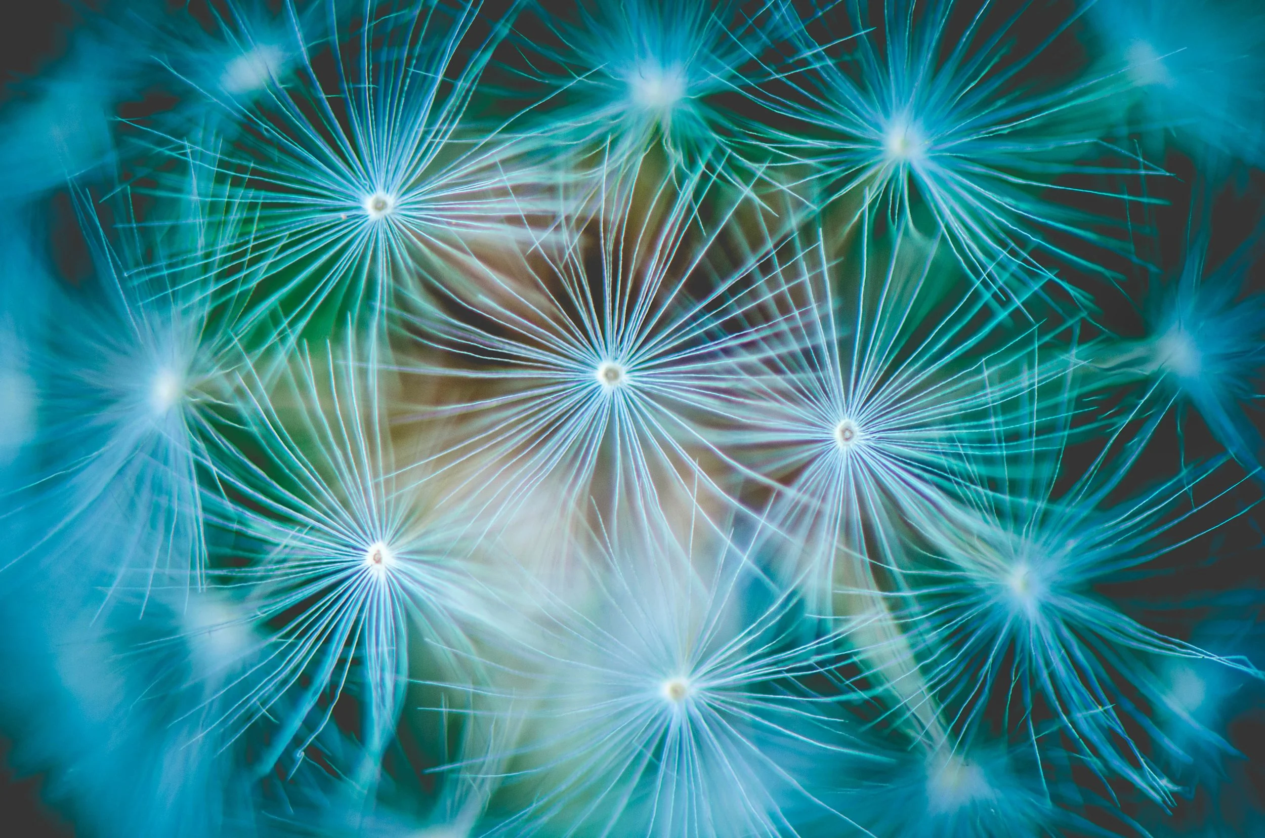 LeiLani-Ink Photography-90212.jpg