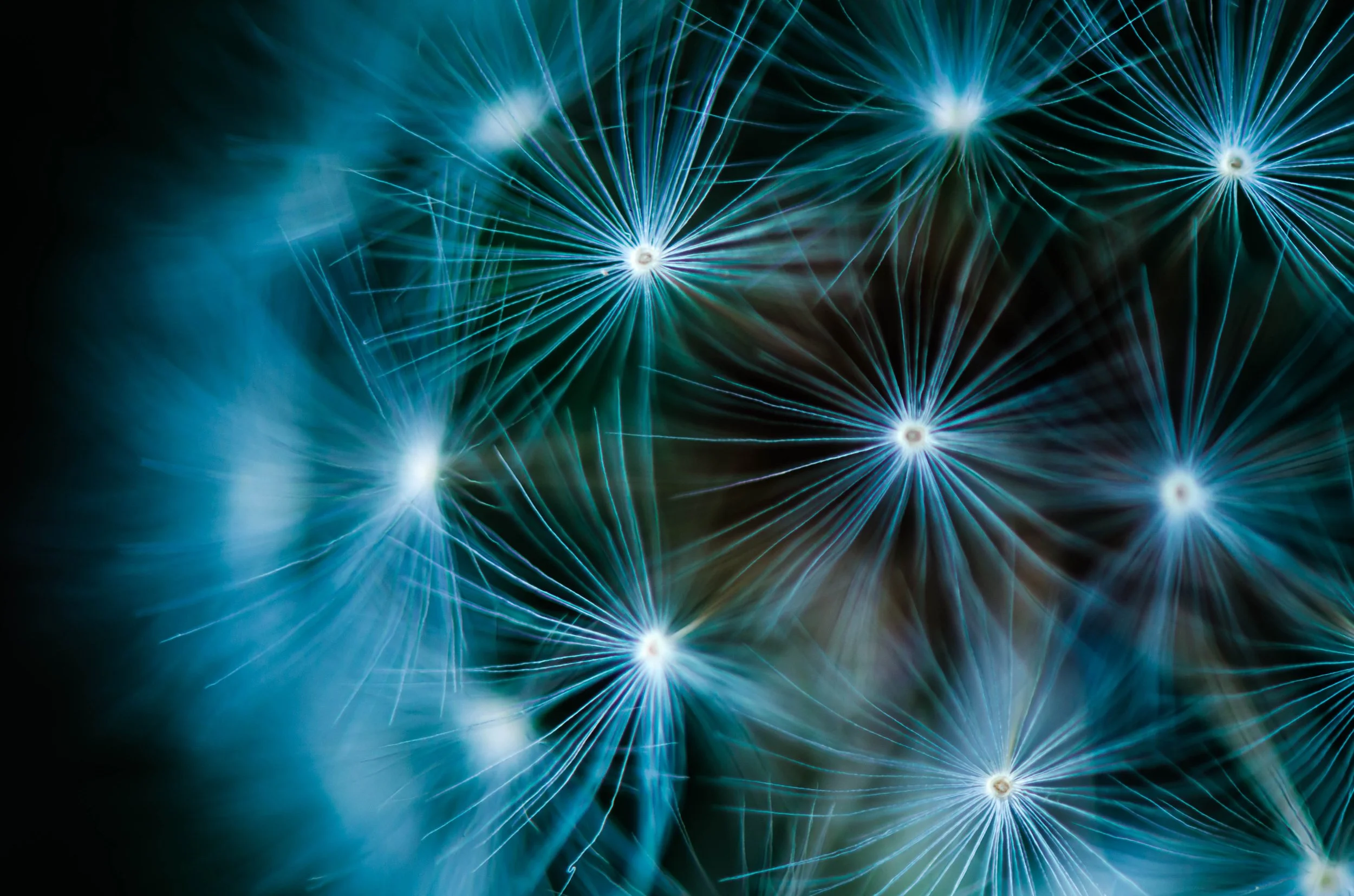 LeiLani-Ink Photography-9015.jpg