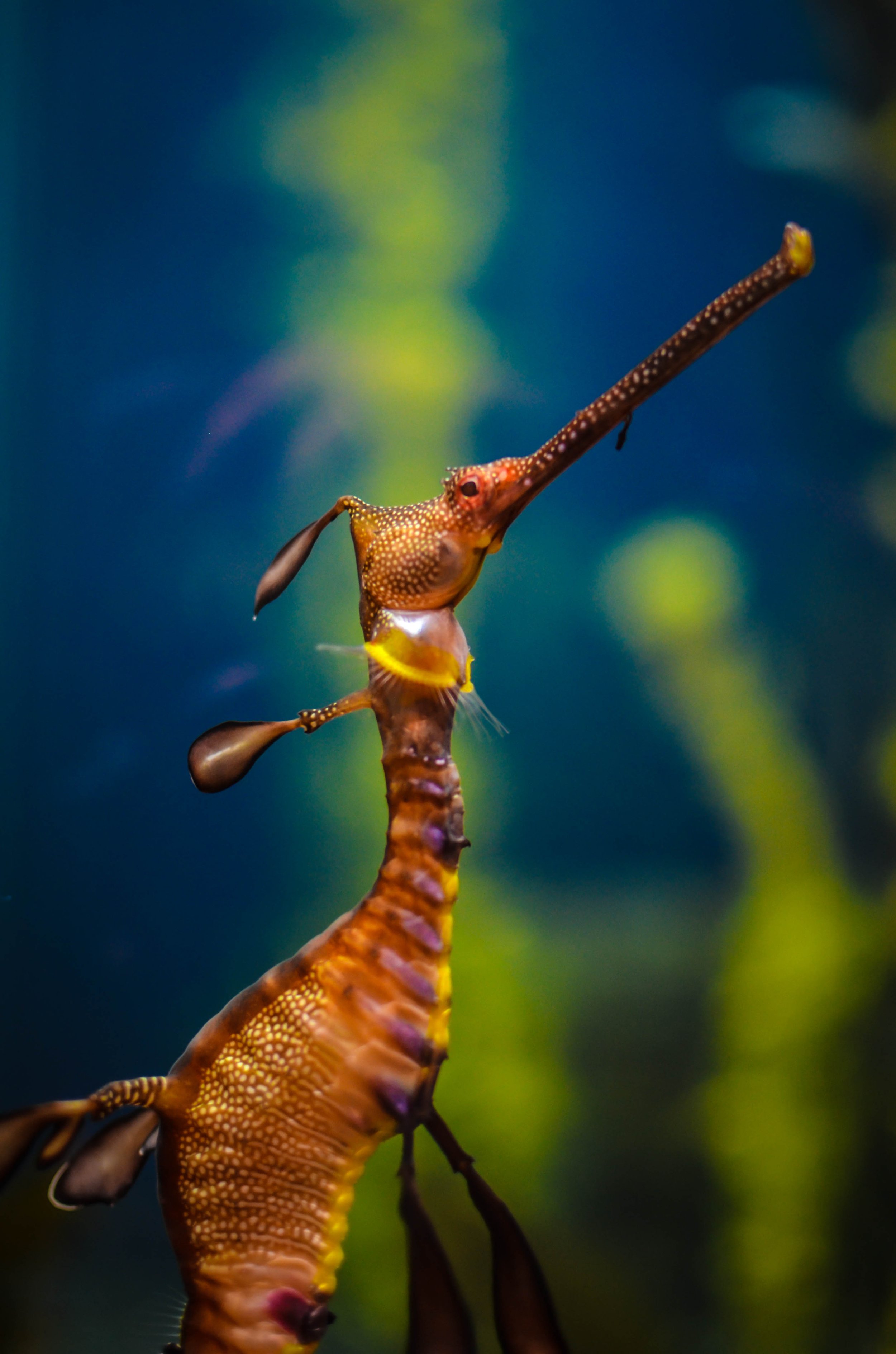 LeiLani-Ink Photography-0487.JPG