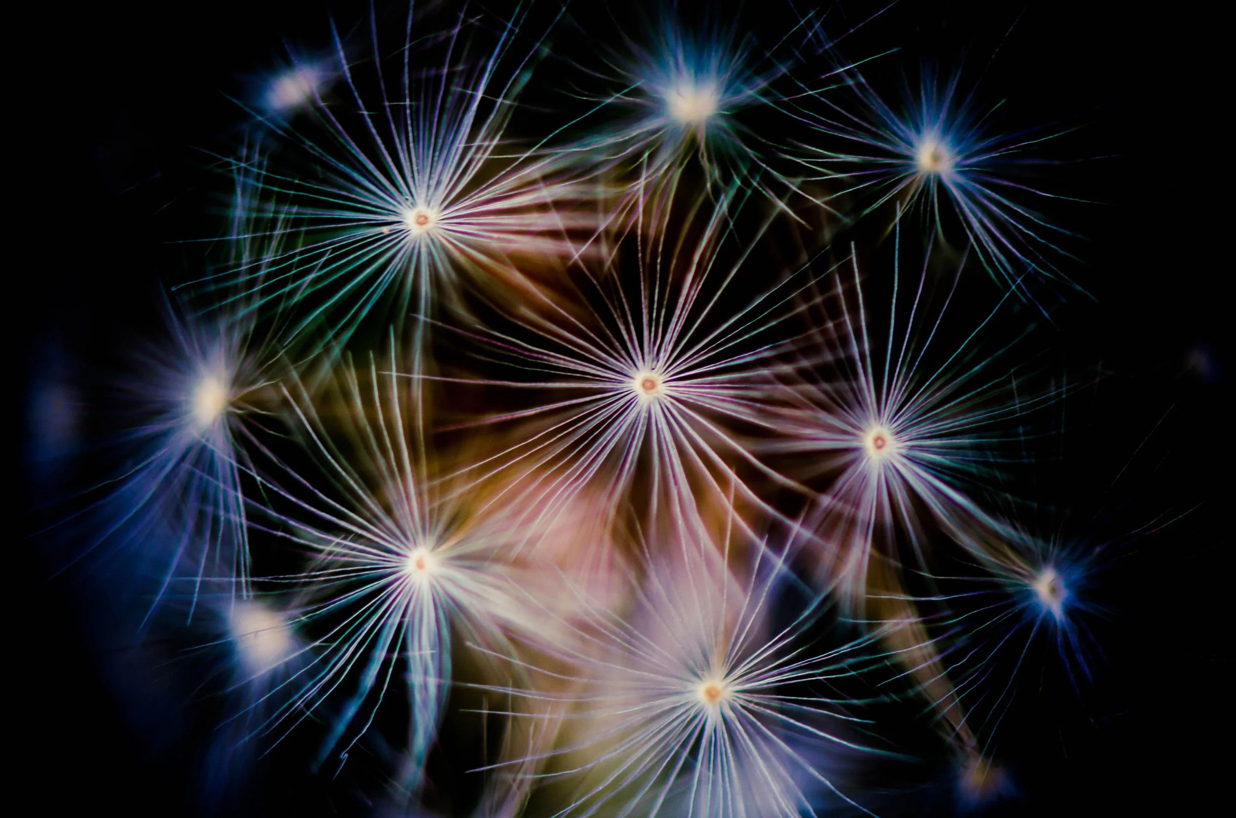 LeiLani-Ink Photography-90202.jpg