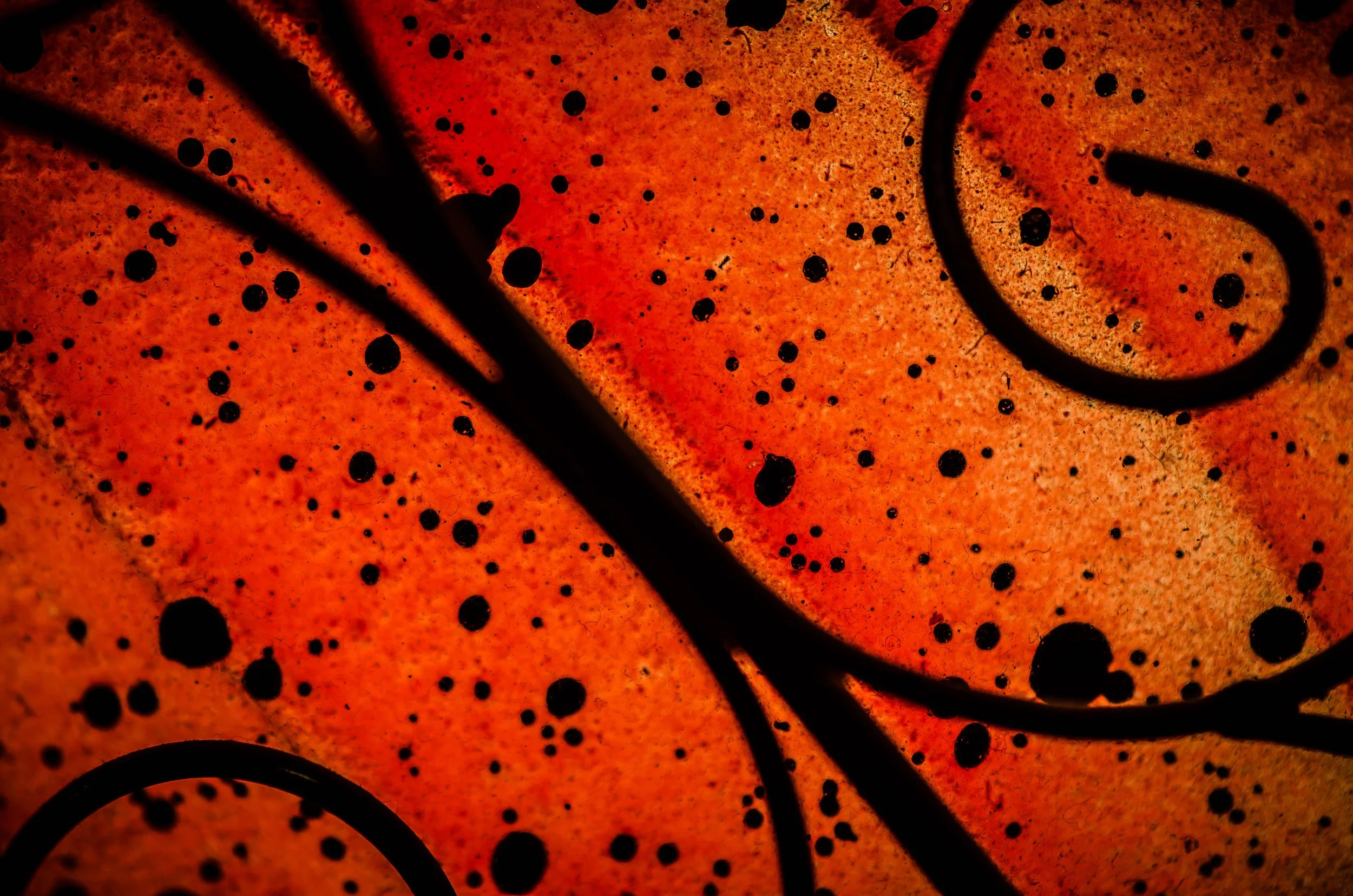 LeiLani-Ink Photography-0083.jpg