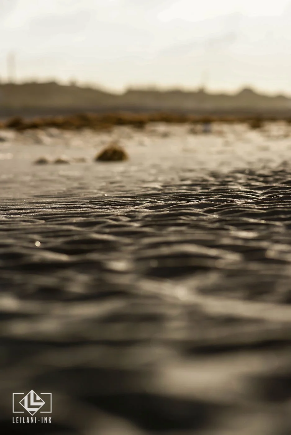 LeiLani-Ink Photography-12.jpg