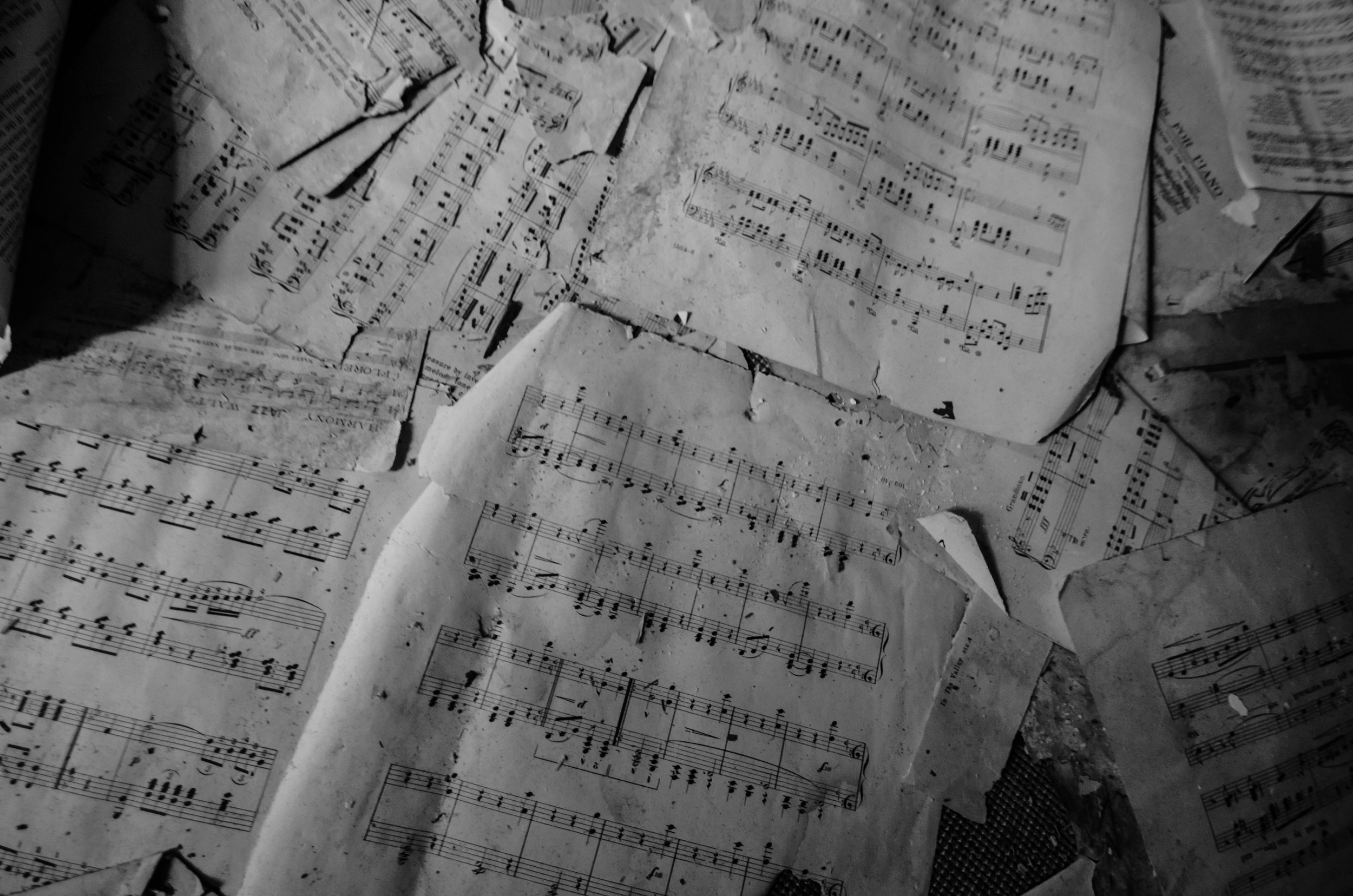 LeiLani-Ink Photography-0112.JPG