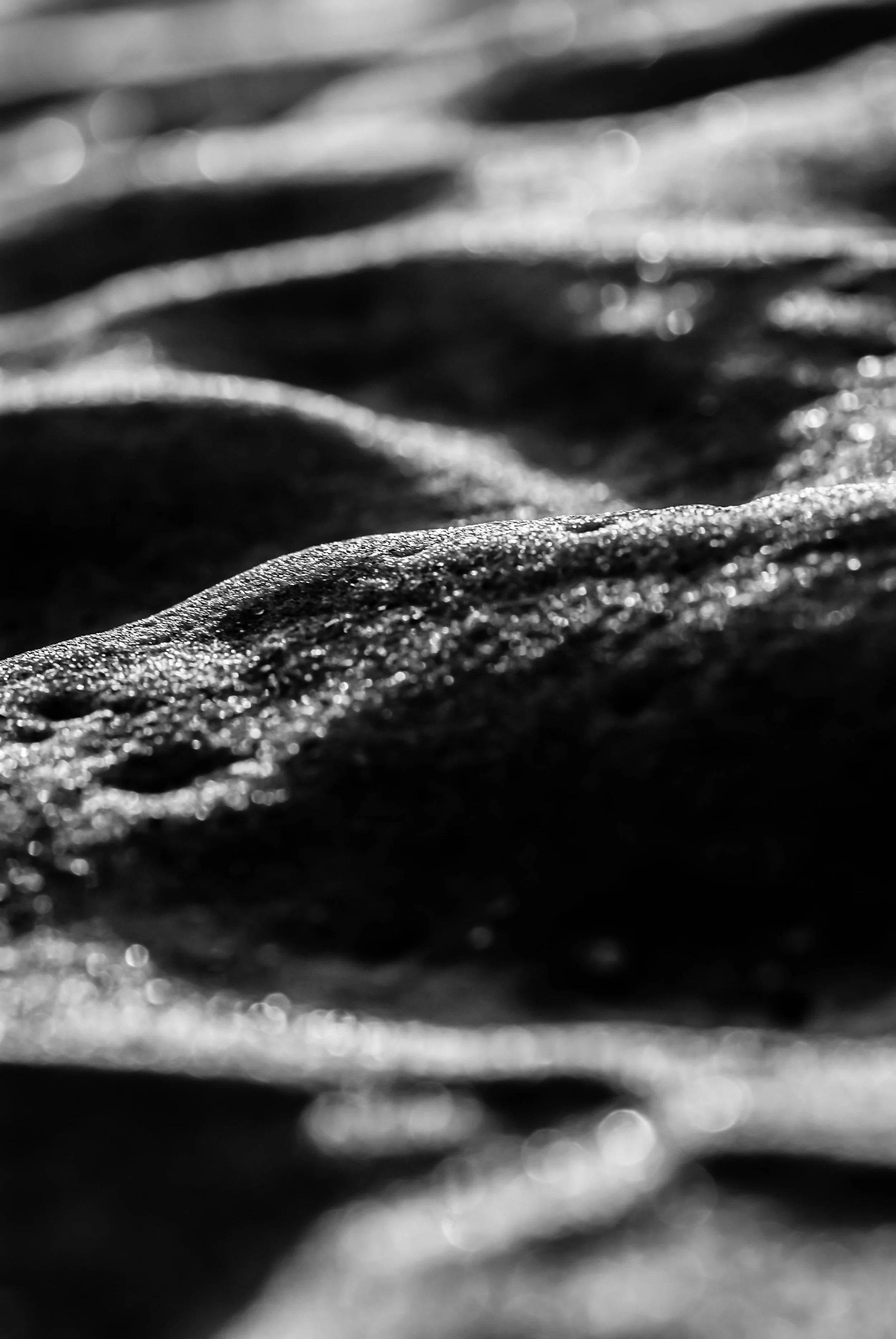 LeiLani-Ink Photography-10.JPG