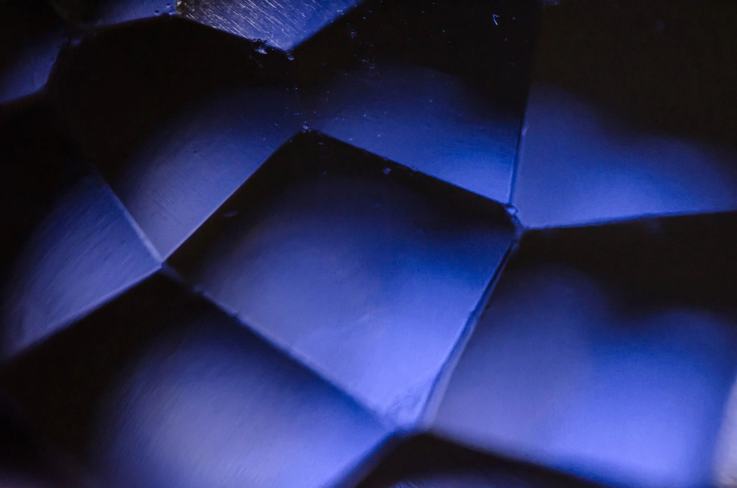 LeiLani-Ink Photography-6499.jpg