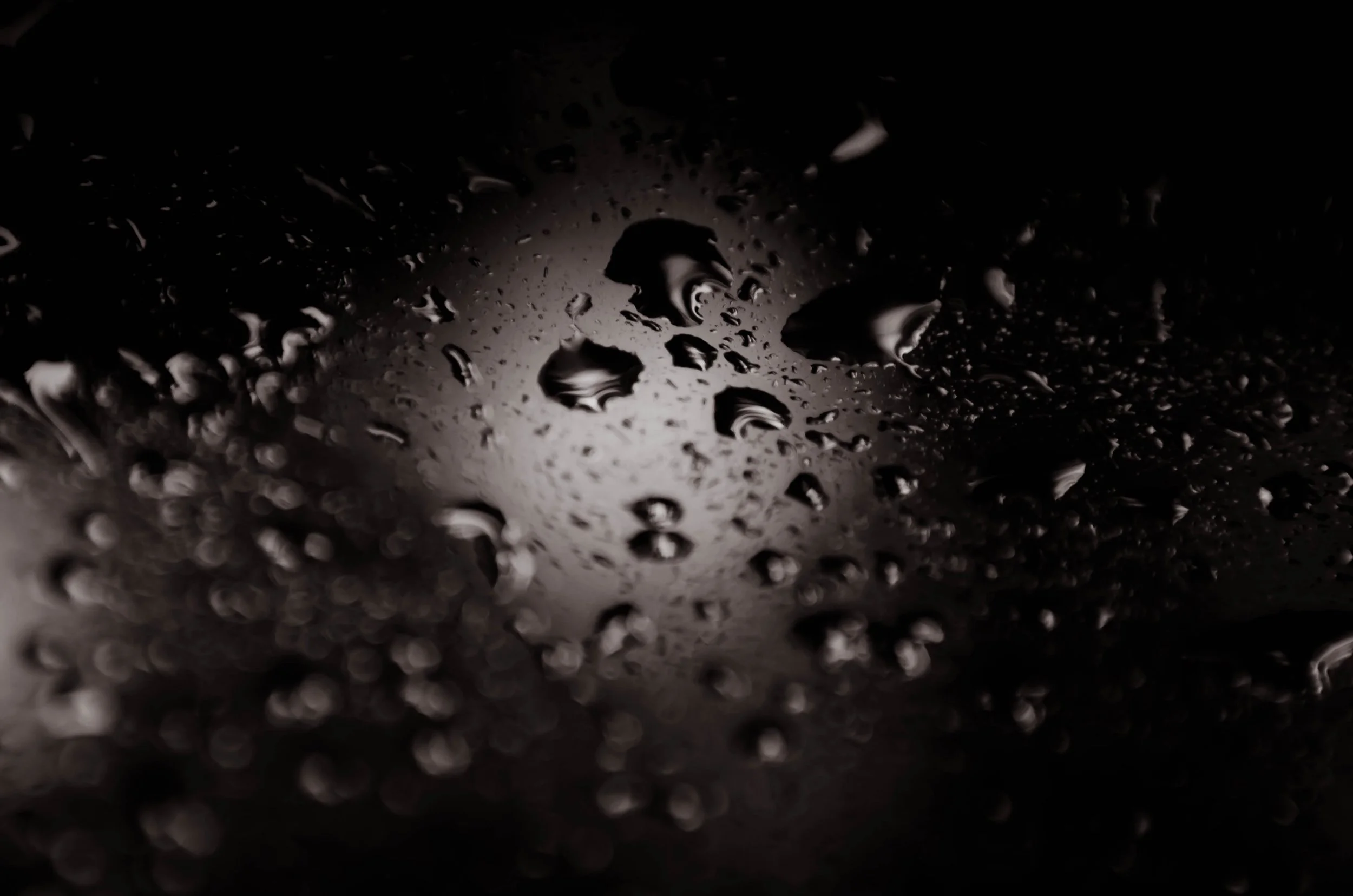 LeiLani-Ink Photography-8528.jpg