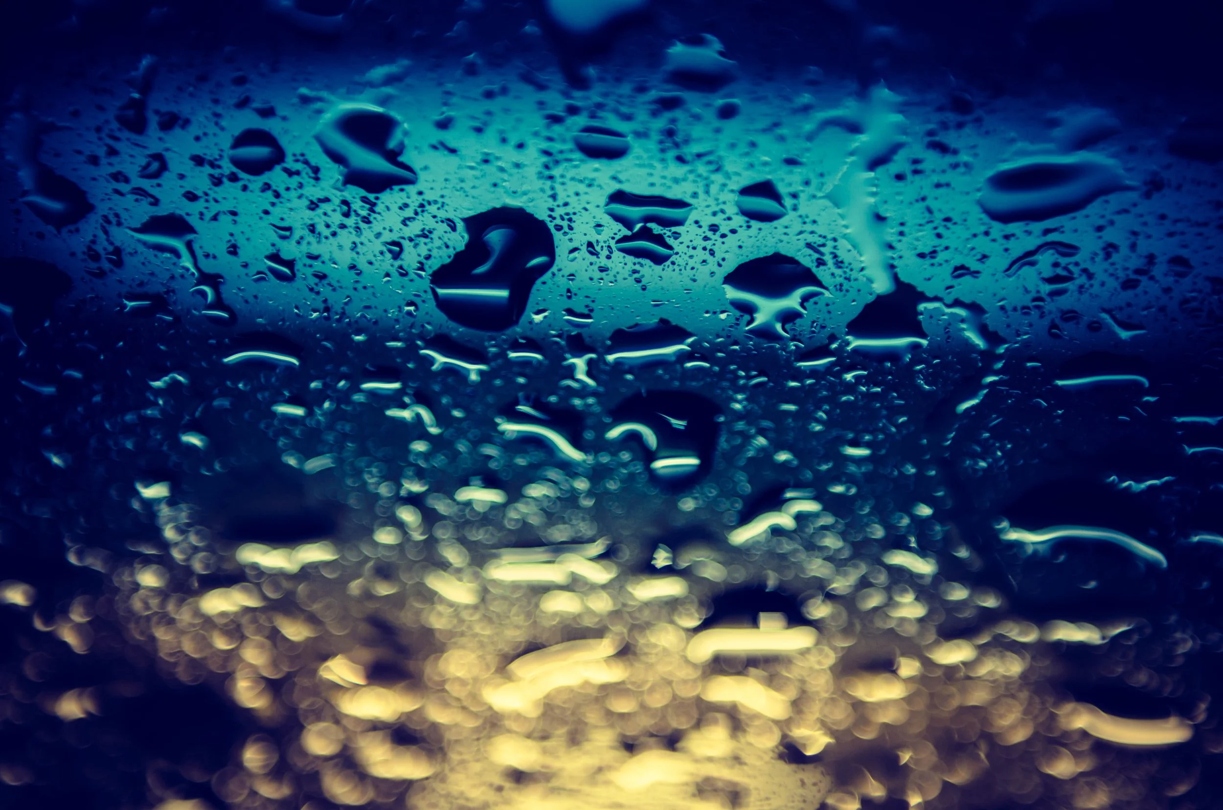 LeiLani-Ink Photography-8644.jpg