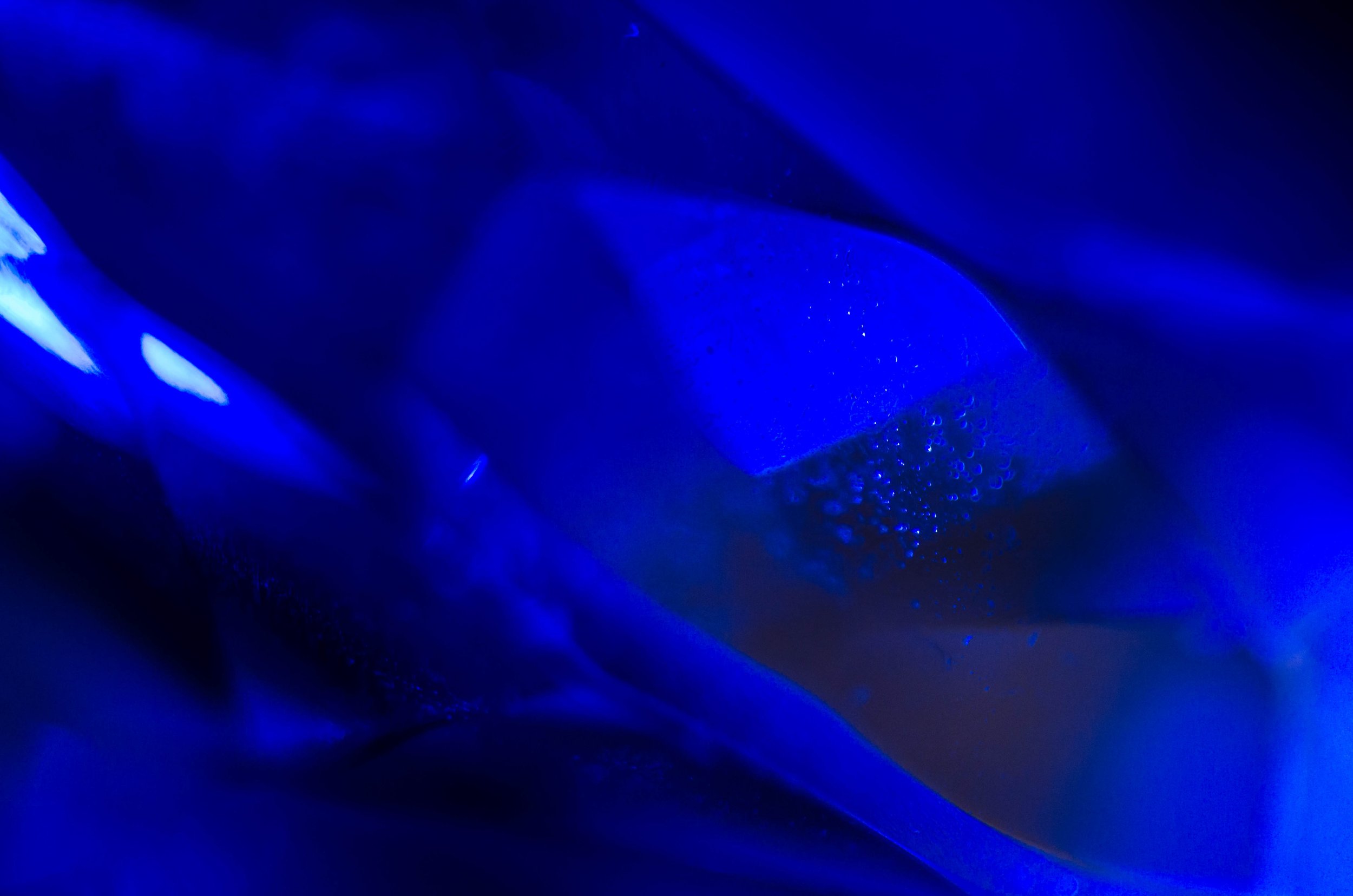 LeiLani-Ink Photography-6436.jpg