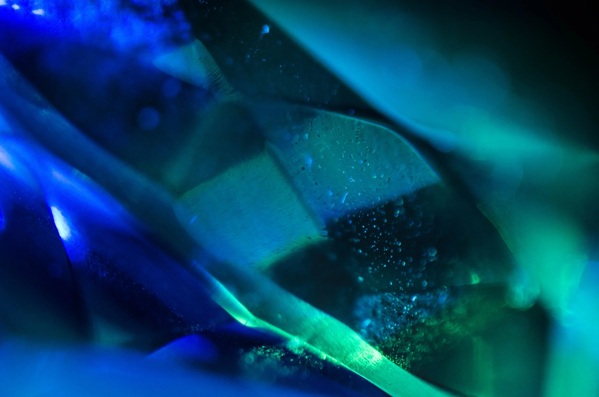 LeiLani-Ink Photography-6442.jpg