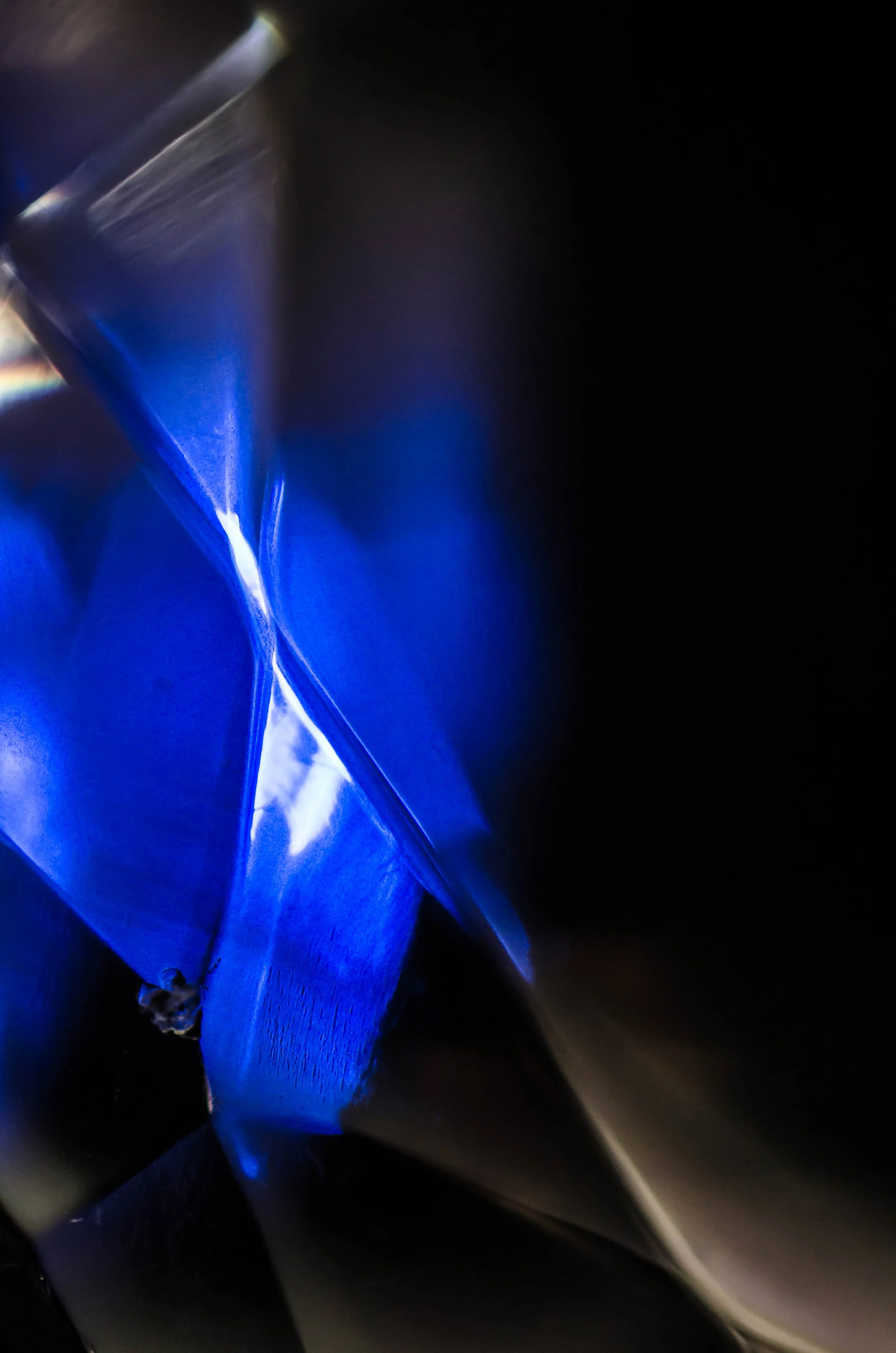 LeiLani-Ink Photography-6486.jpg