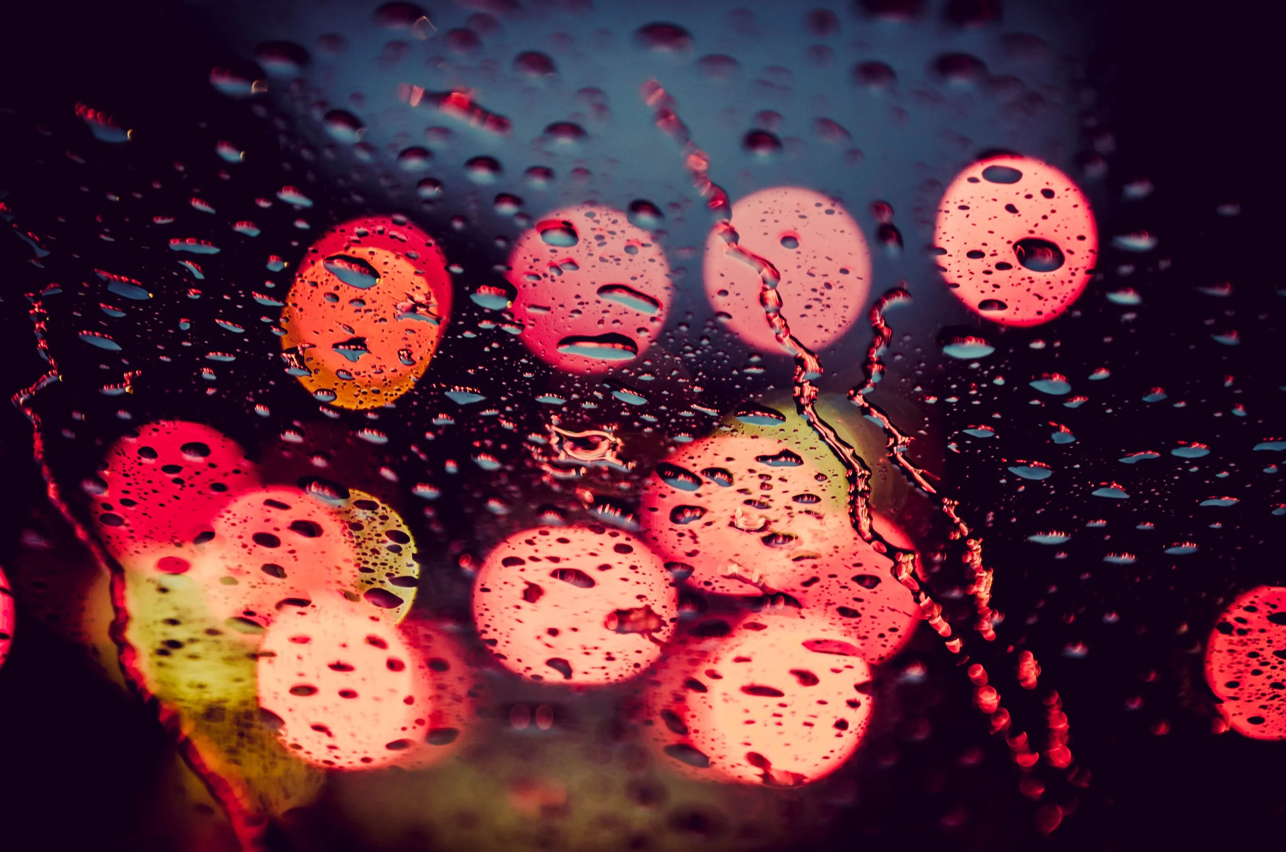 LeiLani-Ink Photography-8569.jpg