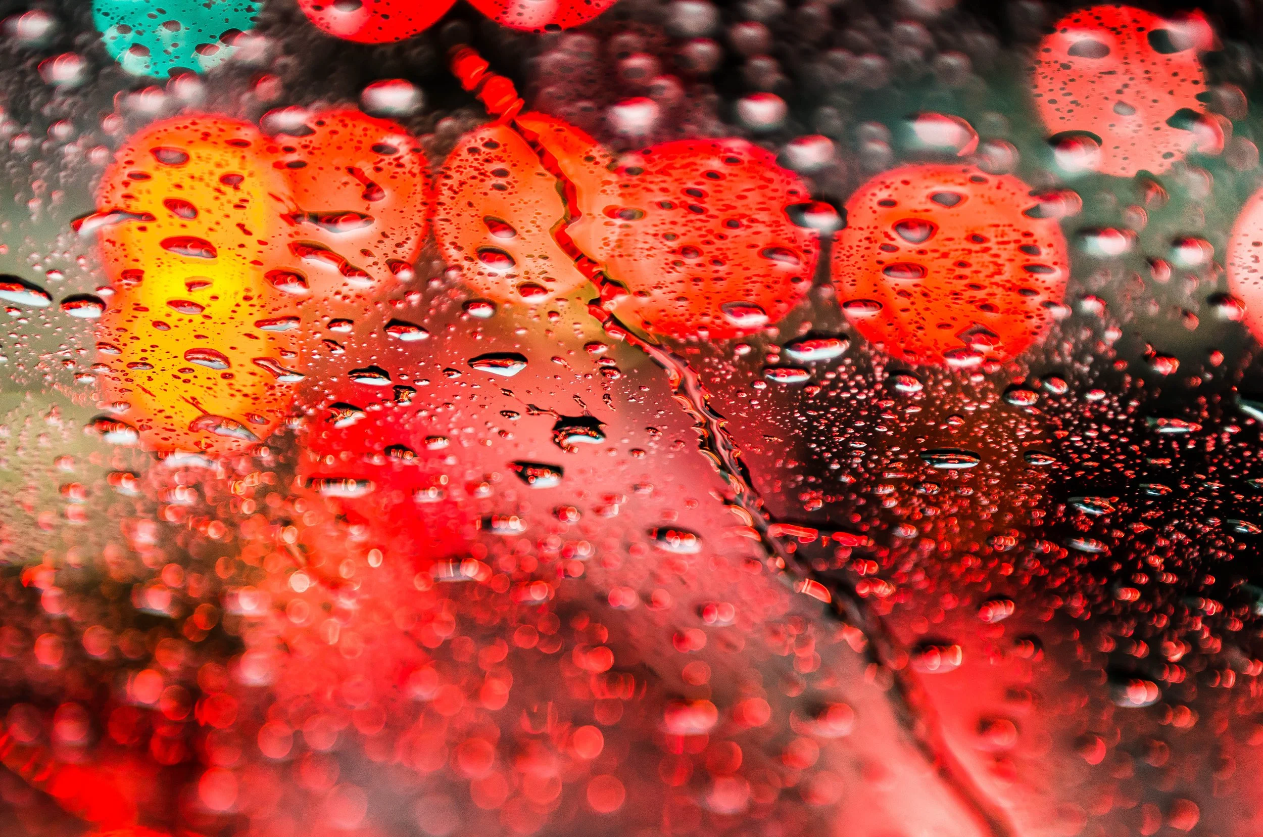 LeiLani-Ink Photography-8546.jpg