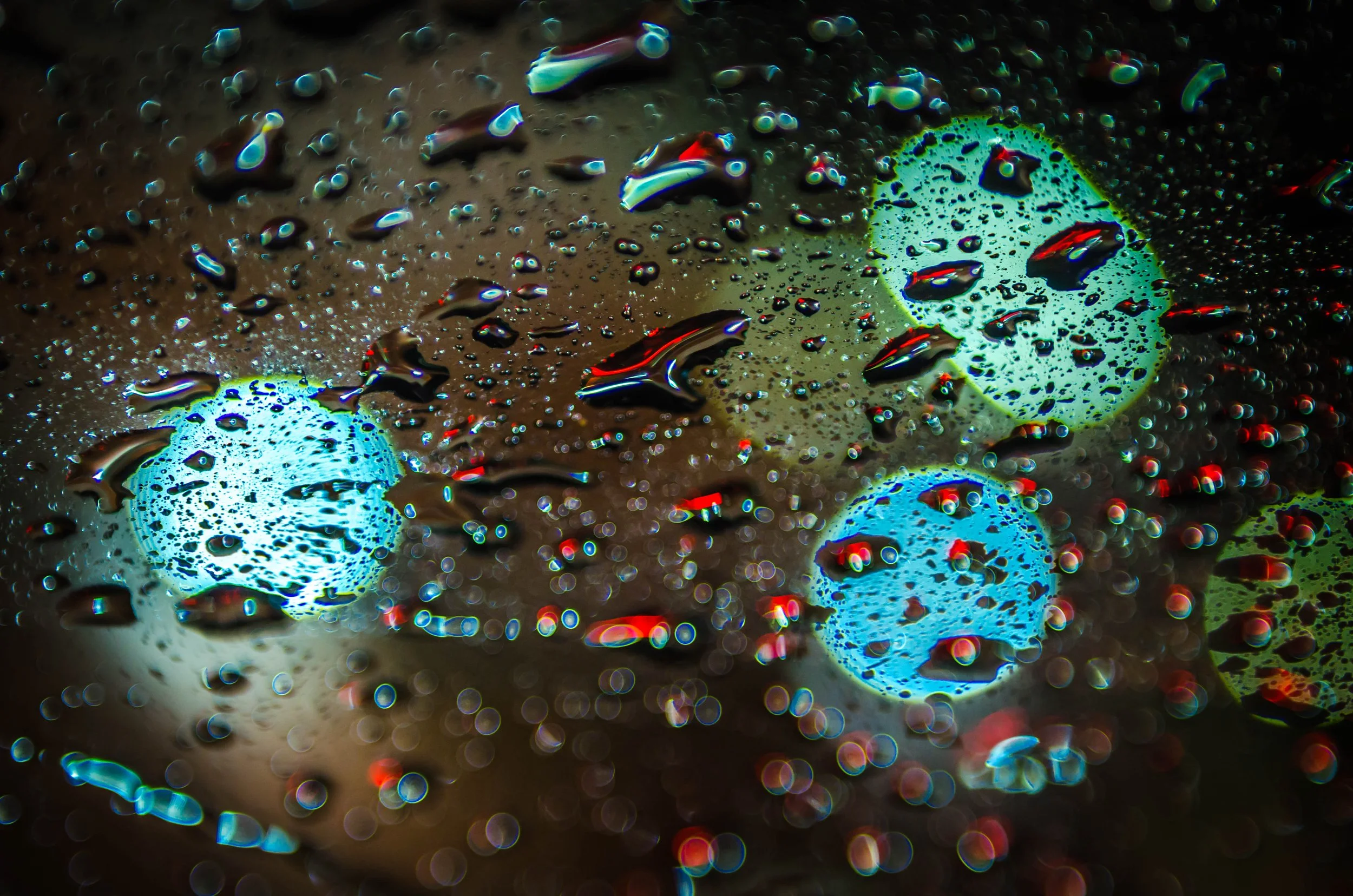 LeiLani-Ink Photography-8734.jpg