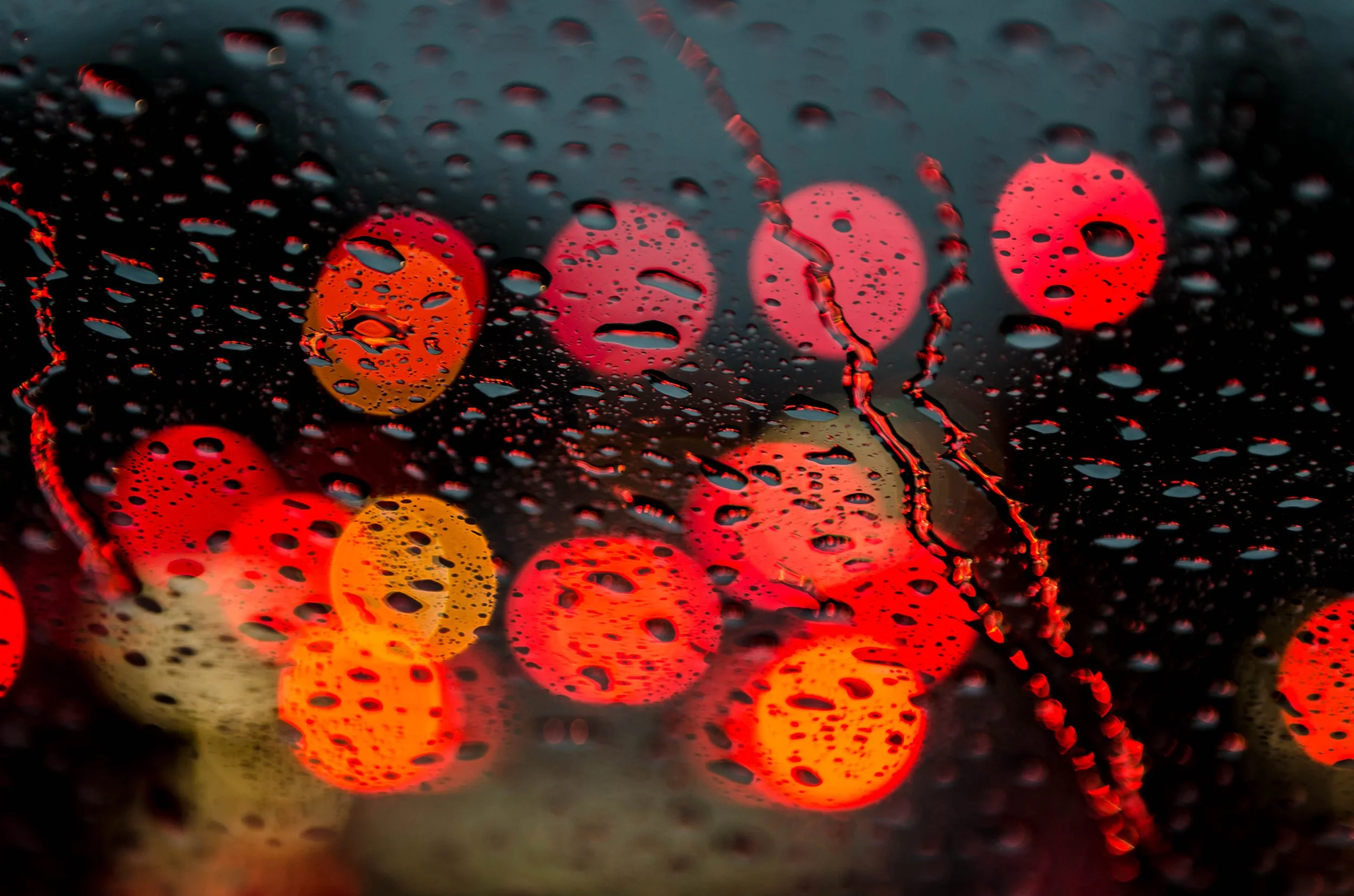 LeiLani-Ink Photography-8568.jpg