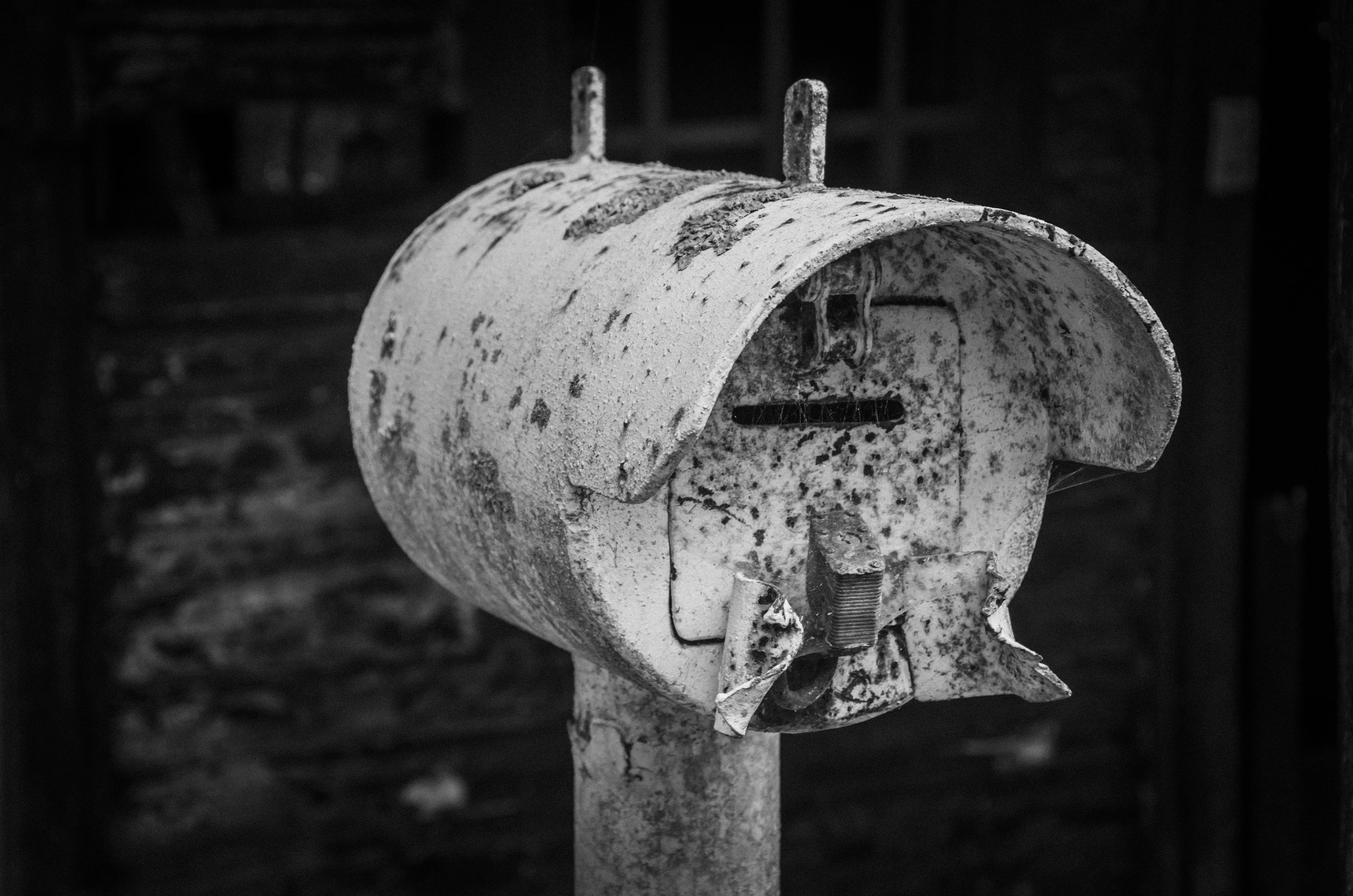 LeiLani-Ink Photography-7850.jpg