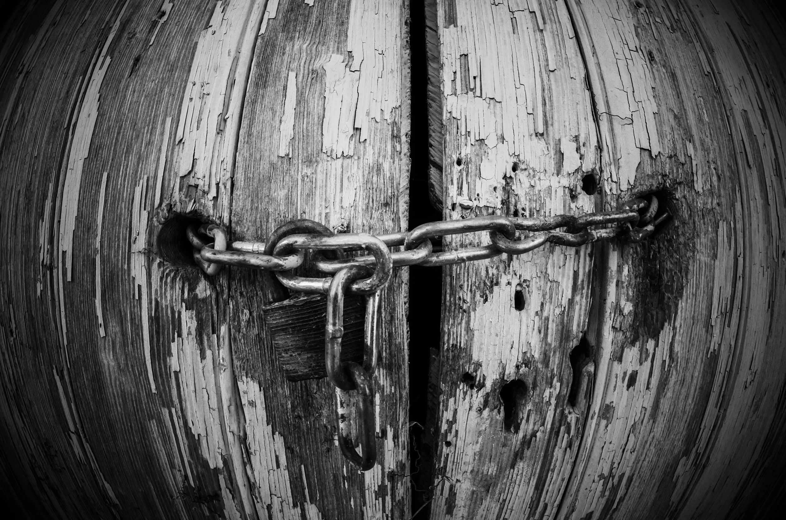 LeiLani-Ink Photography-0374.jpg