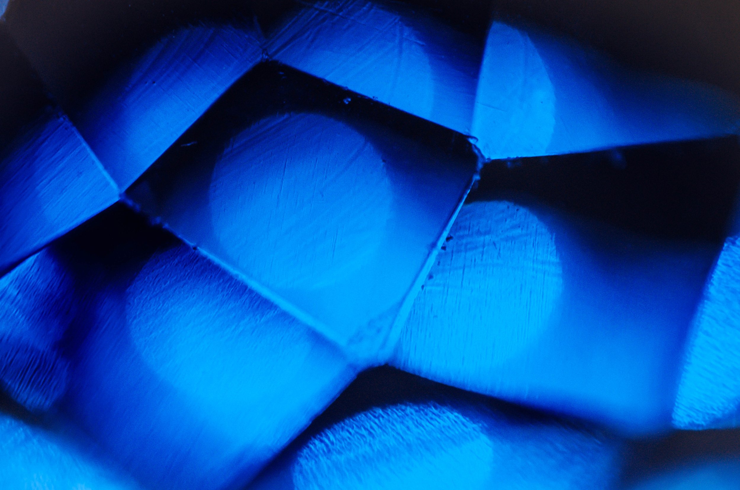 LeiLani-Ink Photography-6504.jpg