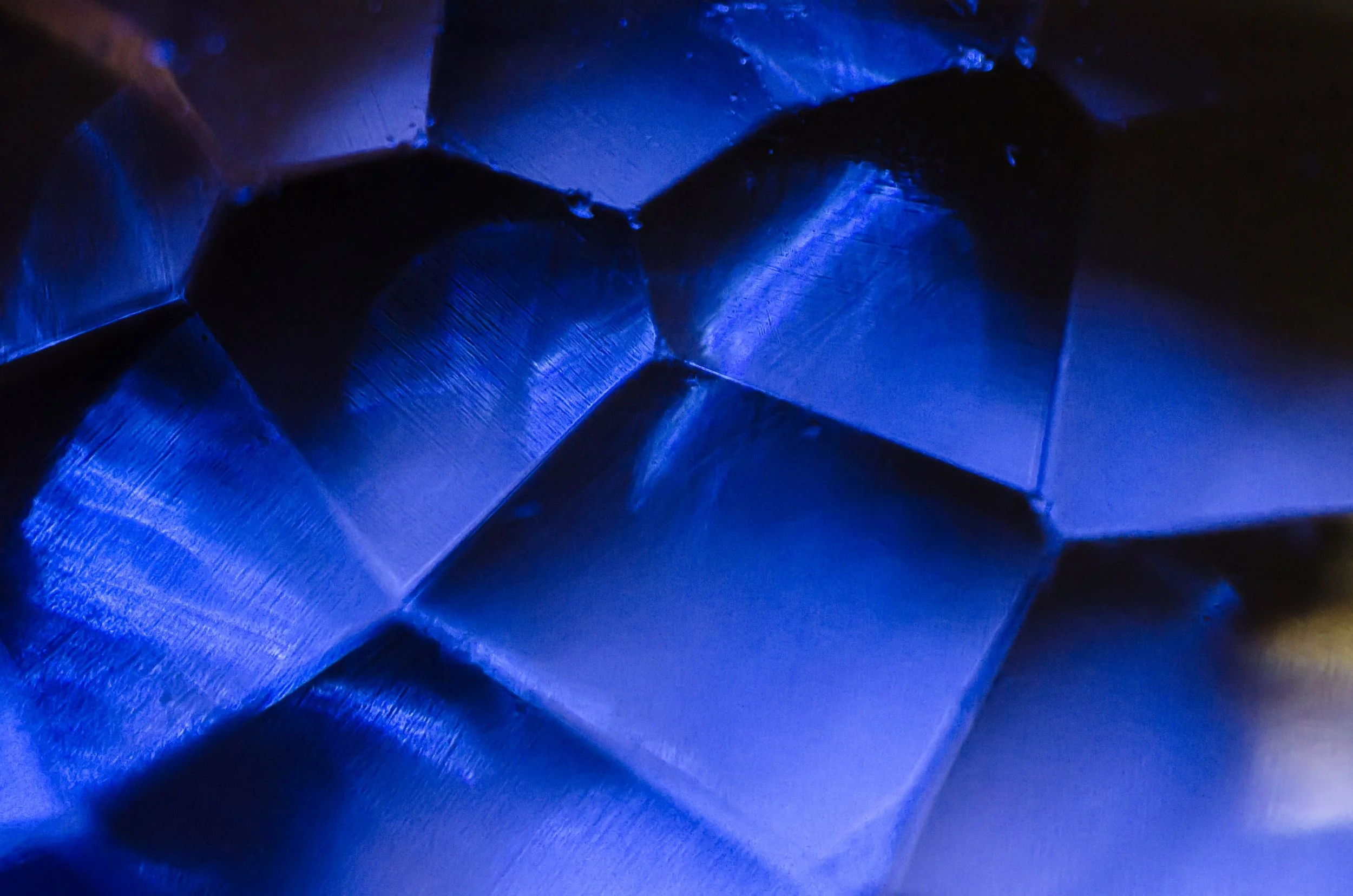 LeiLani-Ink Photography-6492.jpg