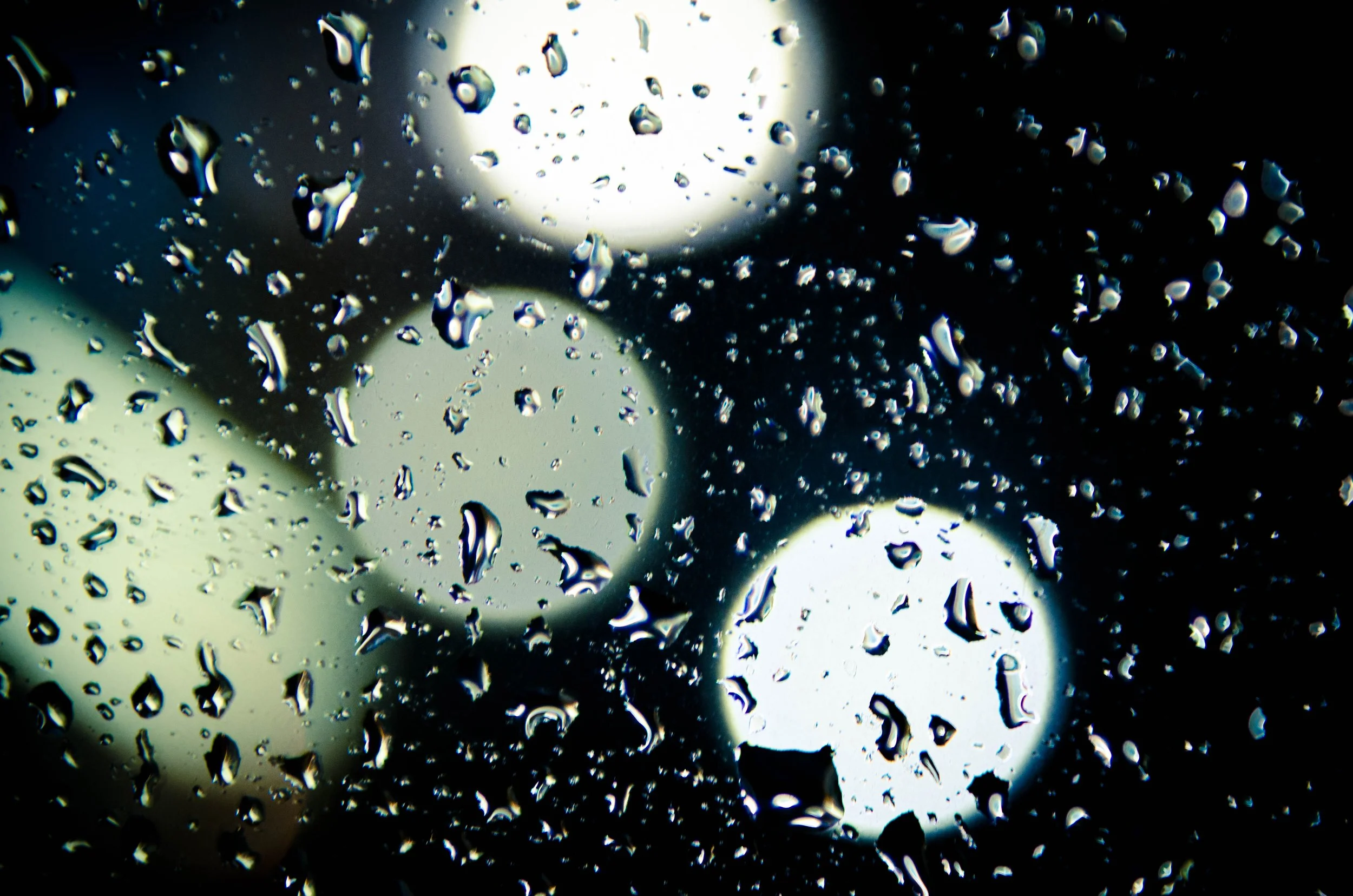 LeiLani-Ink Photography-8561.jpg