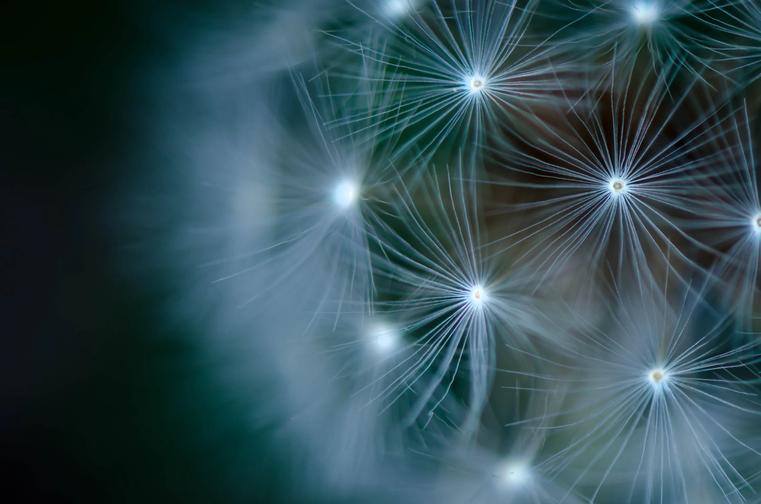 LeiLani-Ink Photography-90182.jpg