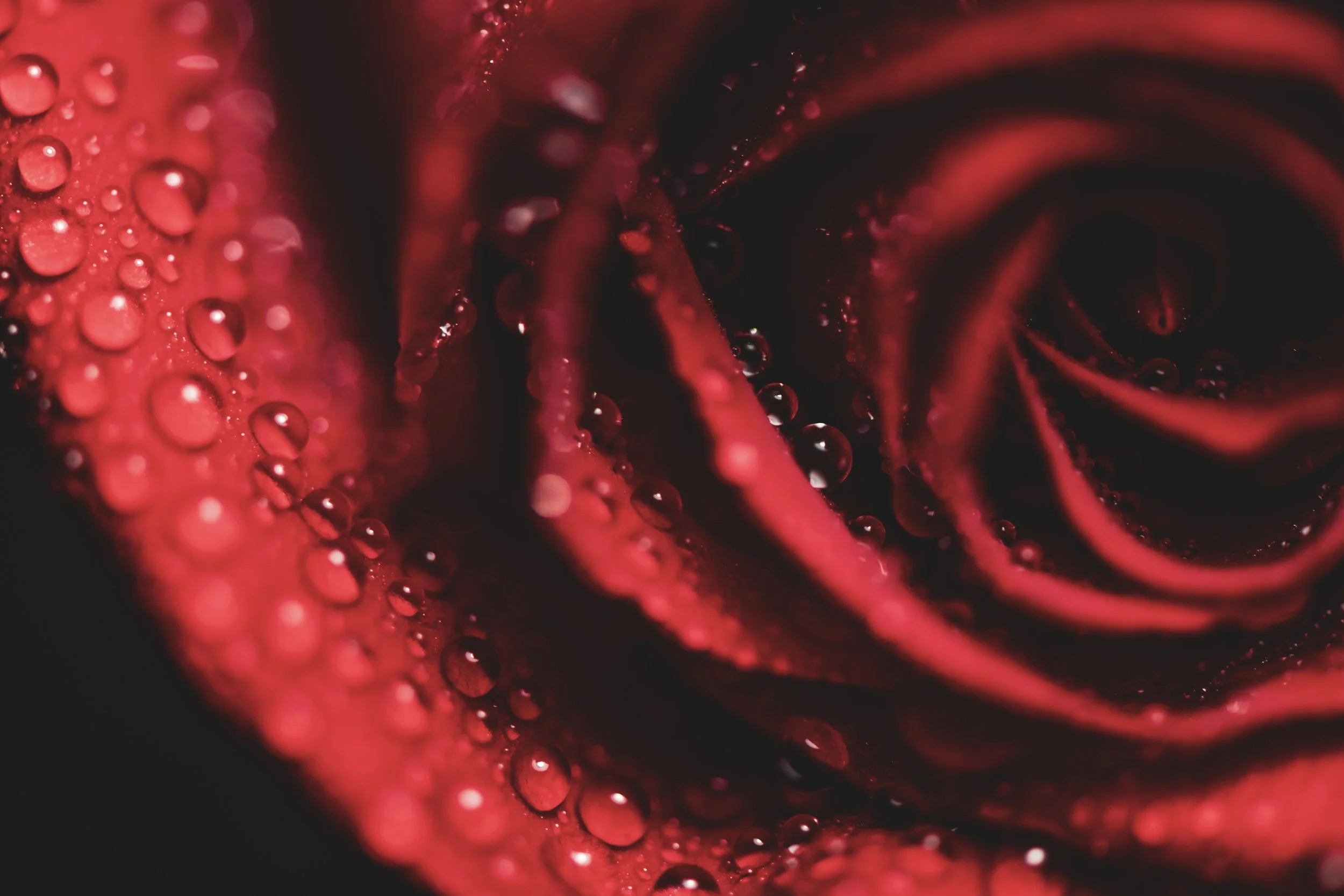 LeiLani_ink_ (59).jpg