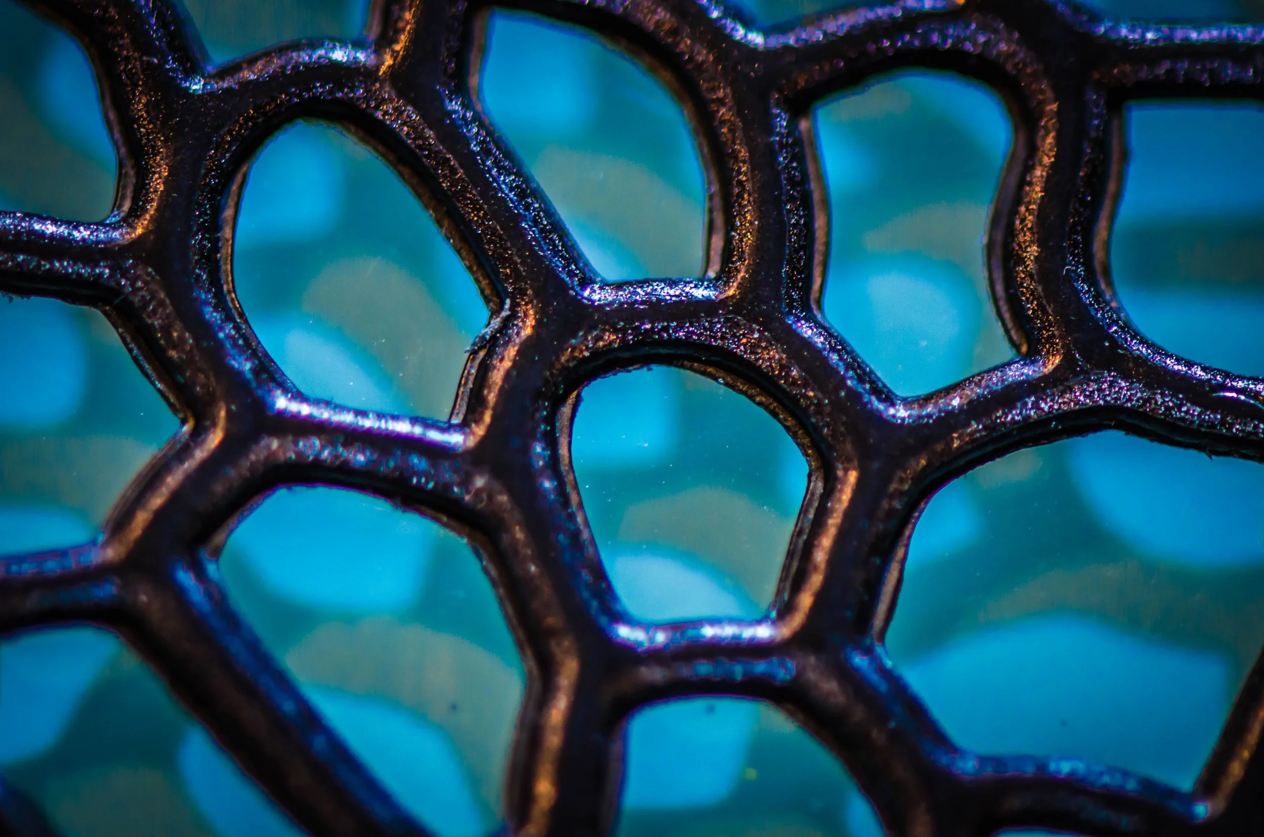 LeiLani-Ink Photography-6353.jpg