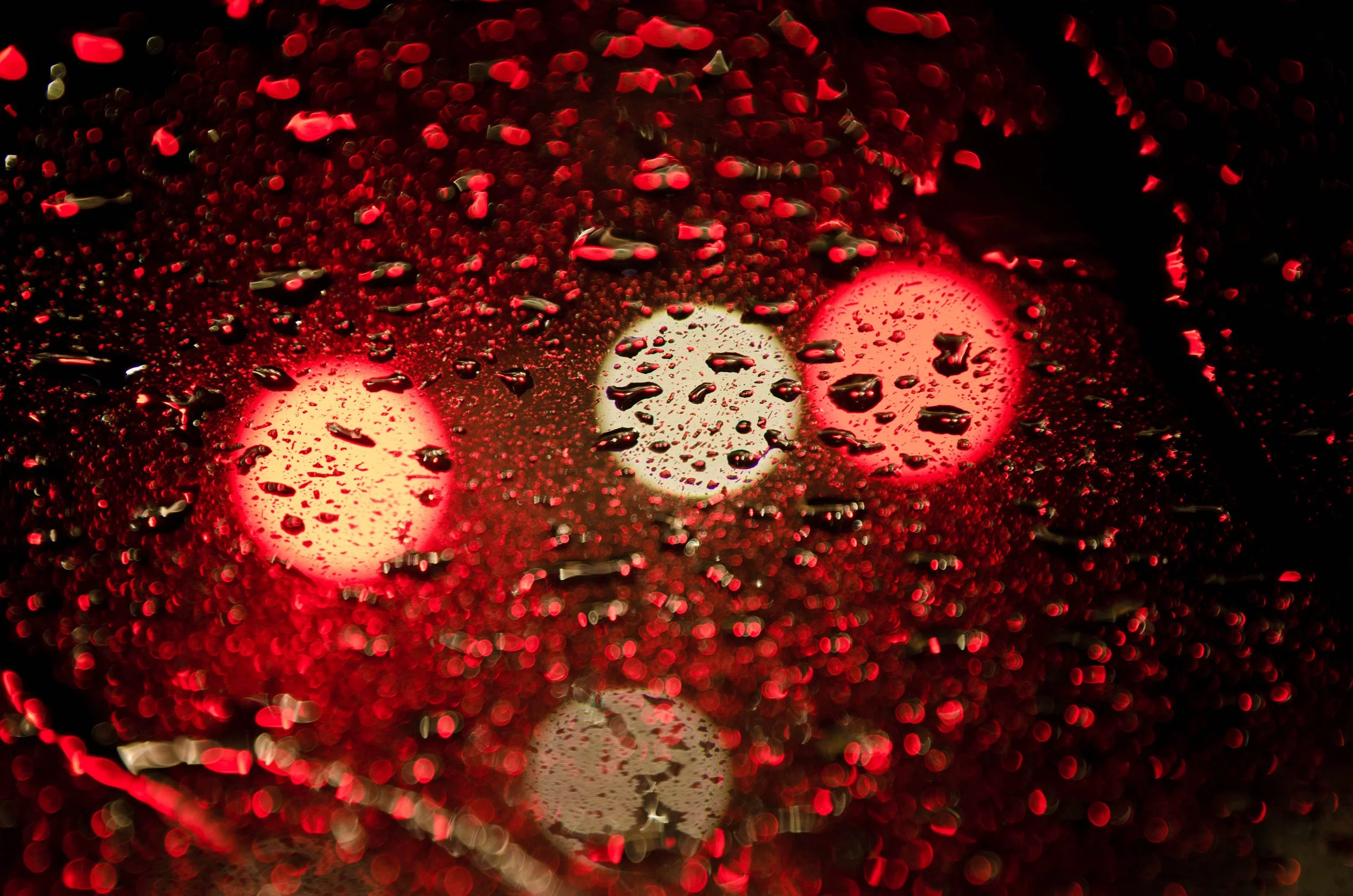 LeiLani-Ink Photography-8615.jpg