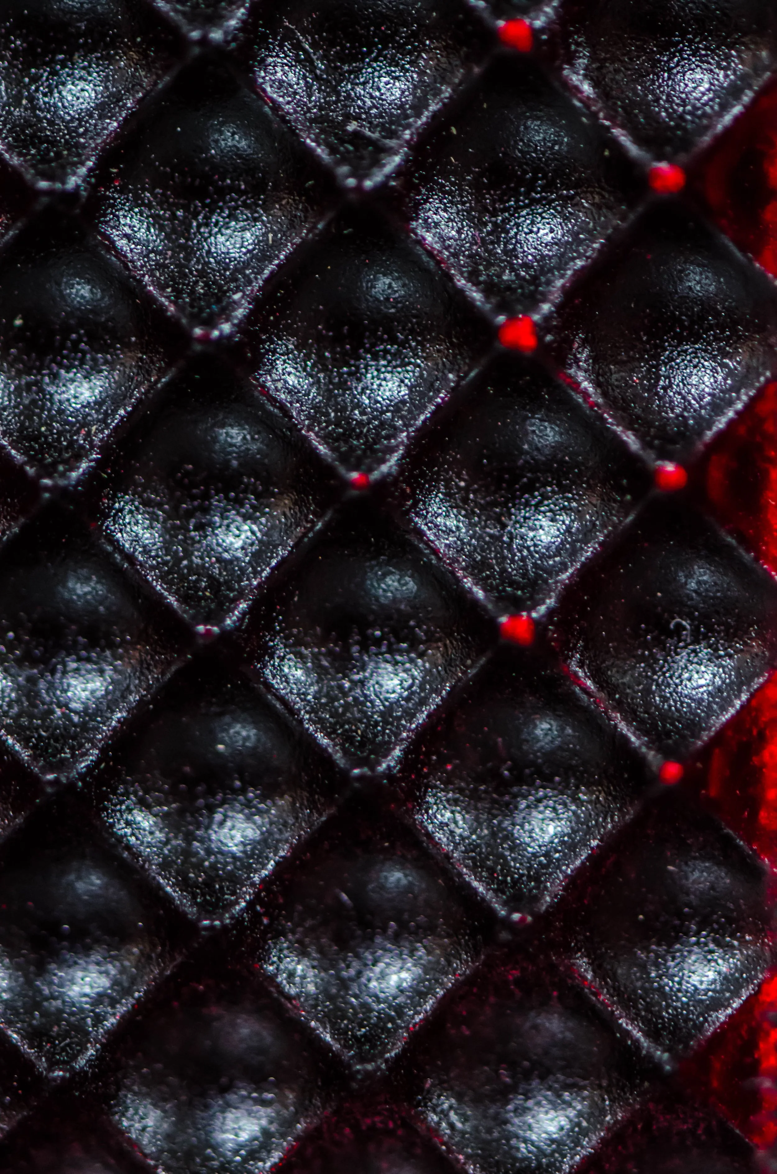 LeiLani-Ink Photography-0101.jpg