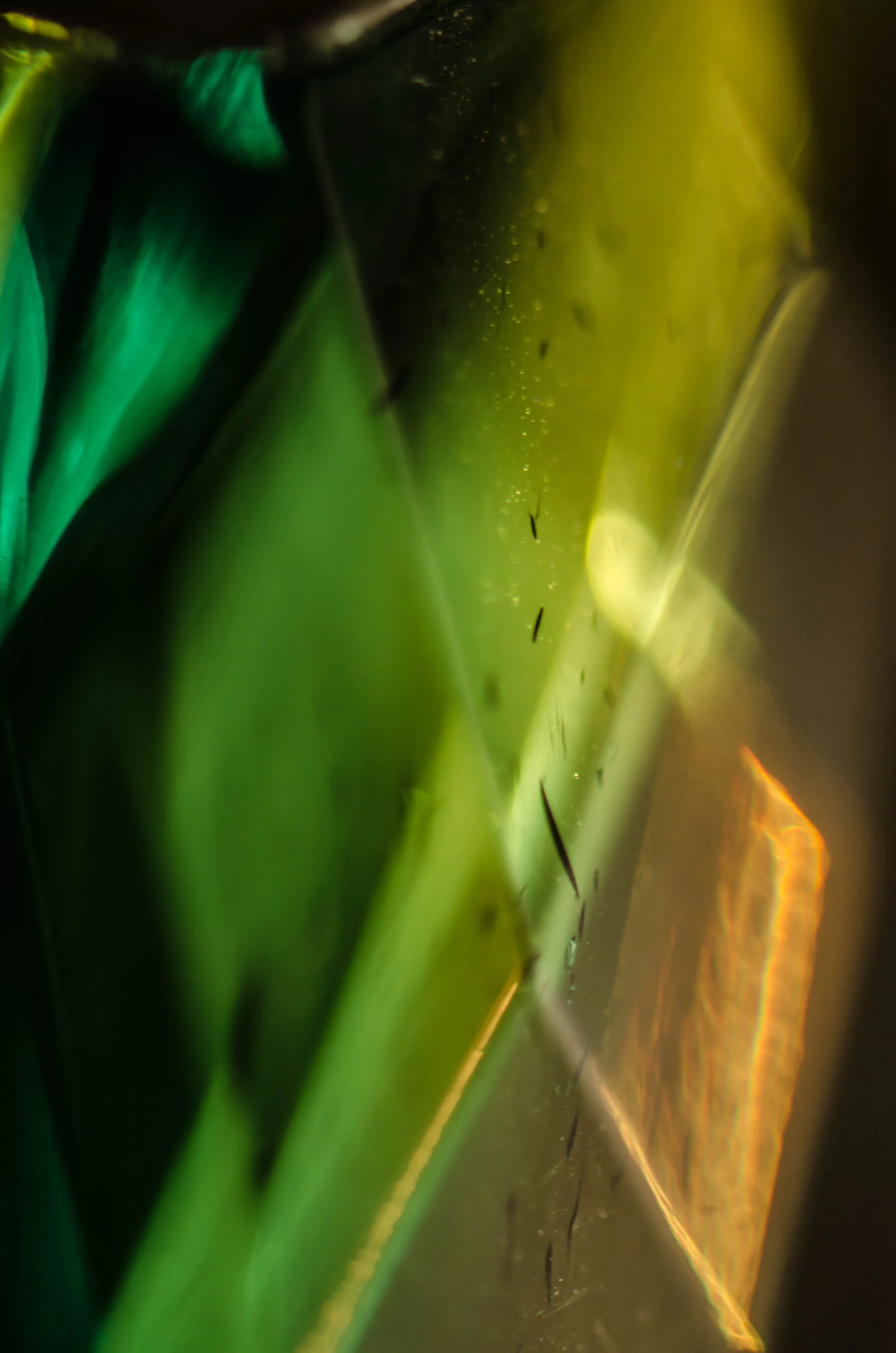 LeiLani-Ink Photography-6401.jpg