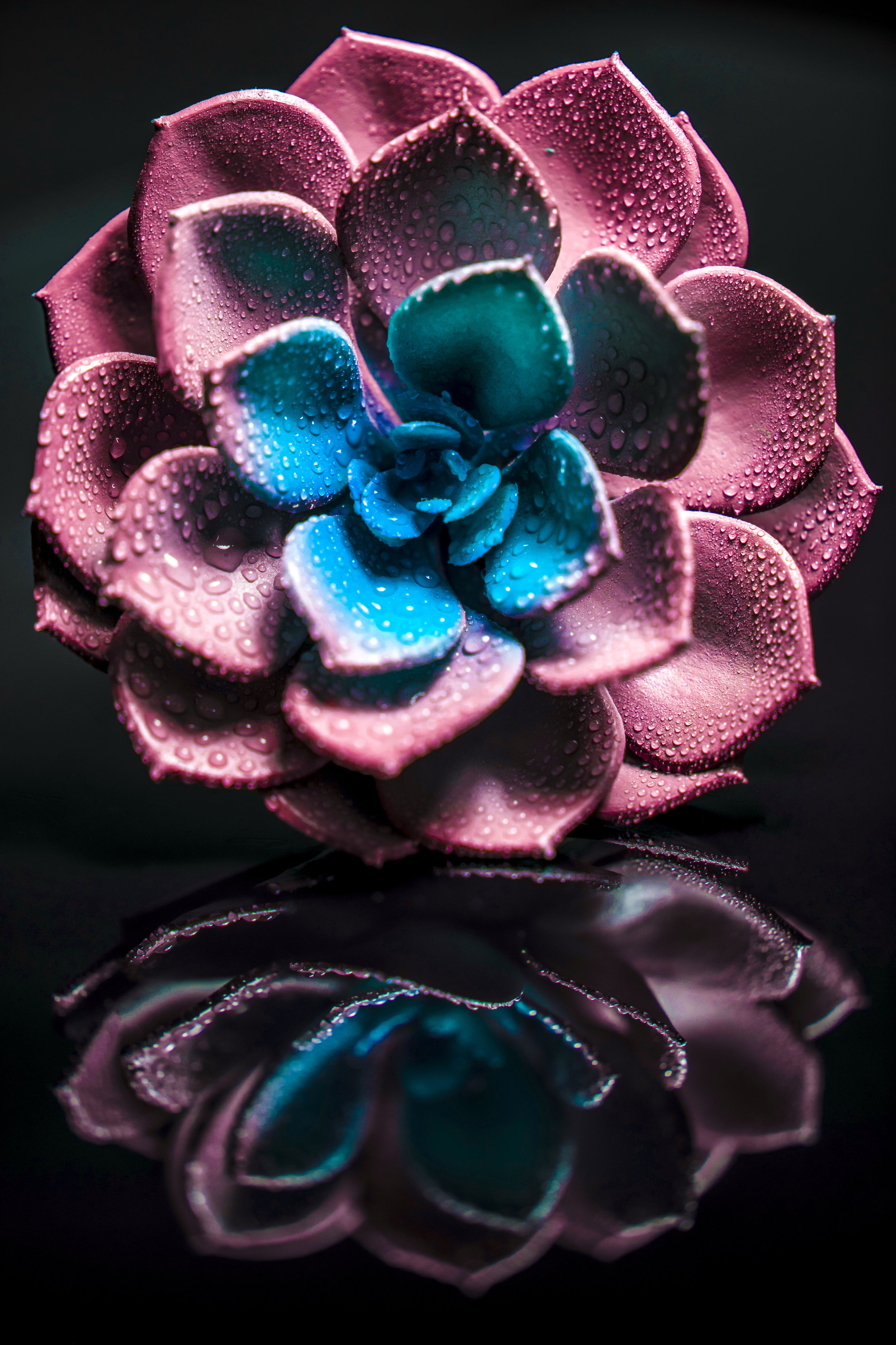 LeiLani_ink_ (109).jpg