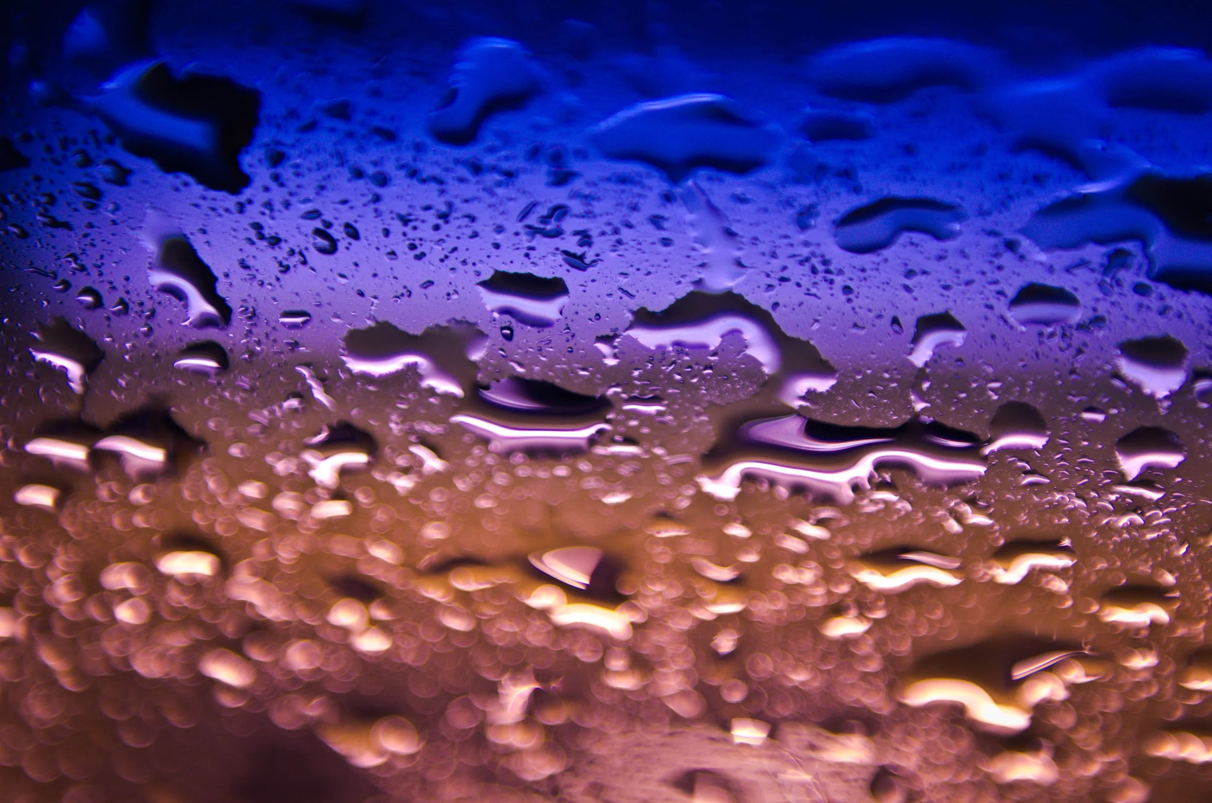 LeiLani-Ink Photography-8656.jpg