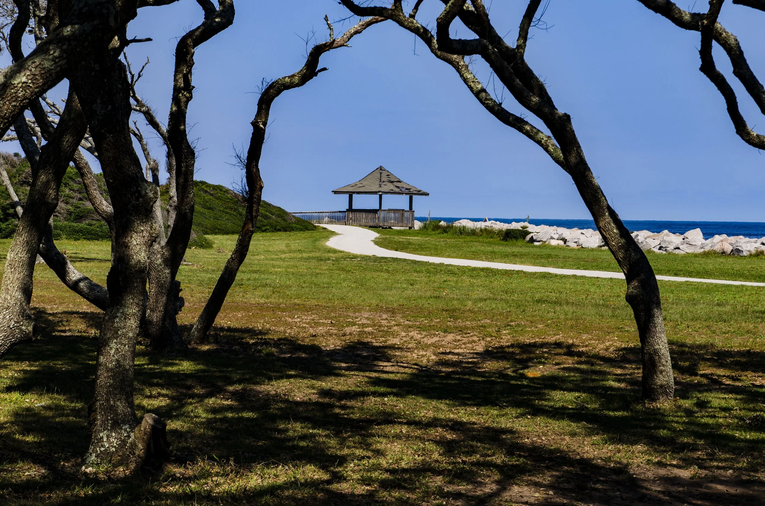 LIP_4334-2.jpg (Copy)